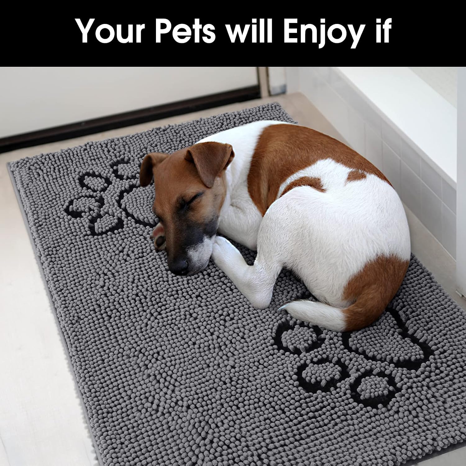 HOMEIDEAS Dog Door Mat for Muddy Paws 30x20, Absorbs Moisture and Dirt, Non-Slip Washable Doormat, Soft Chenille Mud Mat for Dogs
