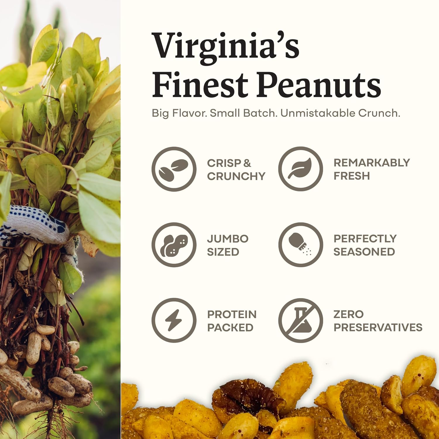 Belmont Peanuts Gourmet Sea-Salted Virginia Peanuts, 20 oz (1 Pack) – Only 3 Simple Ingredients, No Preservatives, 7g Protein – A Premium, Salty, Crunchy, Hand Seasoned Snack