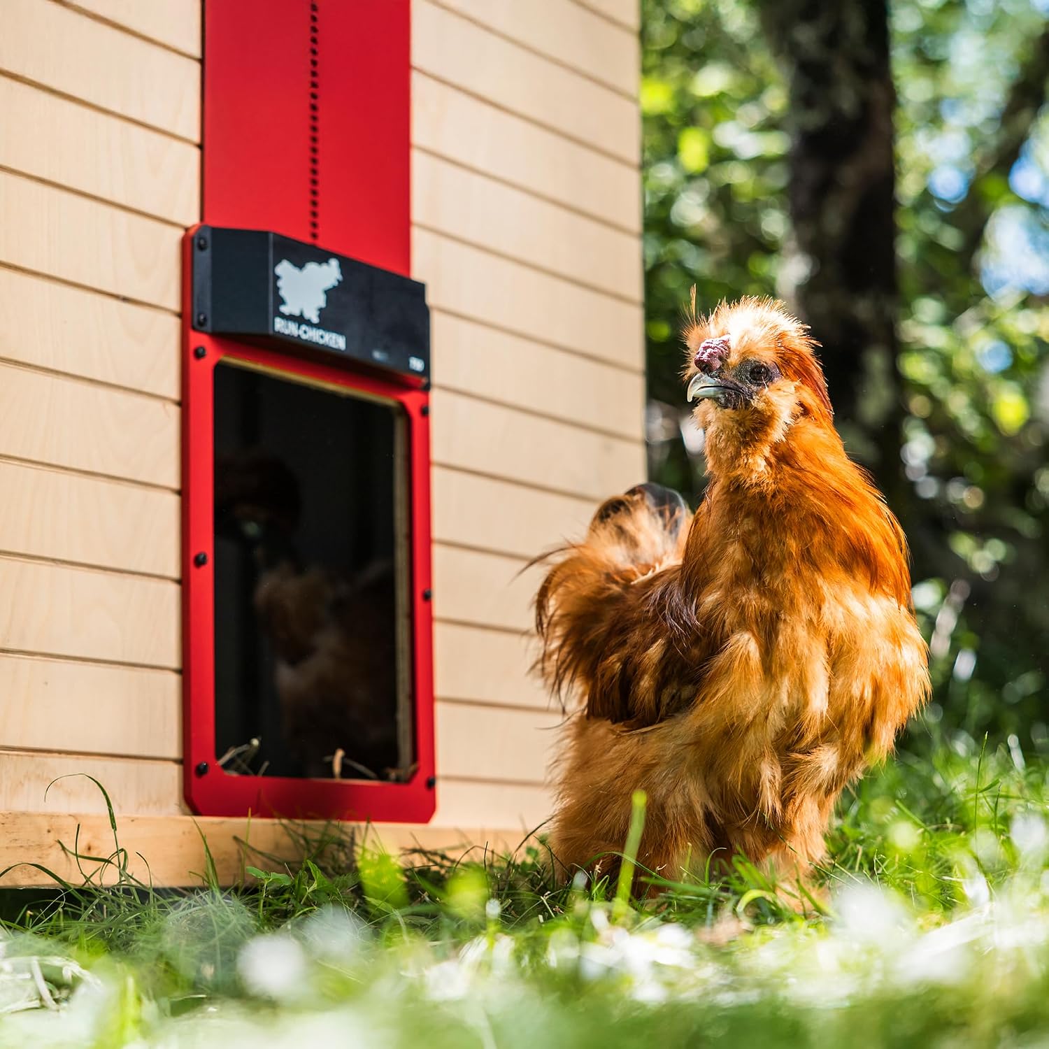 Run-Chicken Door T50 – Automatic Chicken Coop Door Opener, Battery Powered & Weatherproof Aluminum, Smart App & Timer Control, Predator Proof
