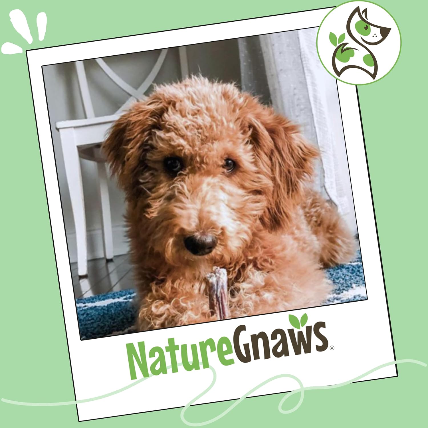 Nature Gnaws Bully Stick Bites 2-4" Rawhide Free for Small Dogs, 8 oz
