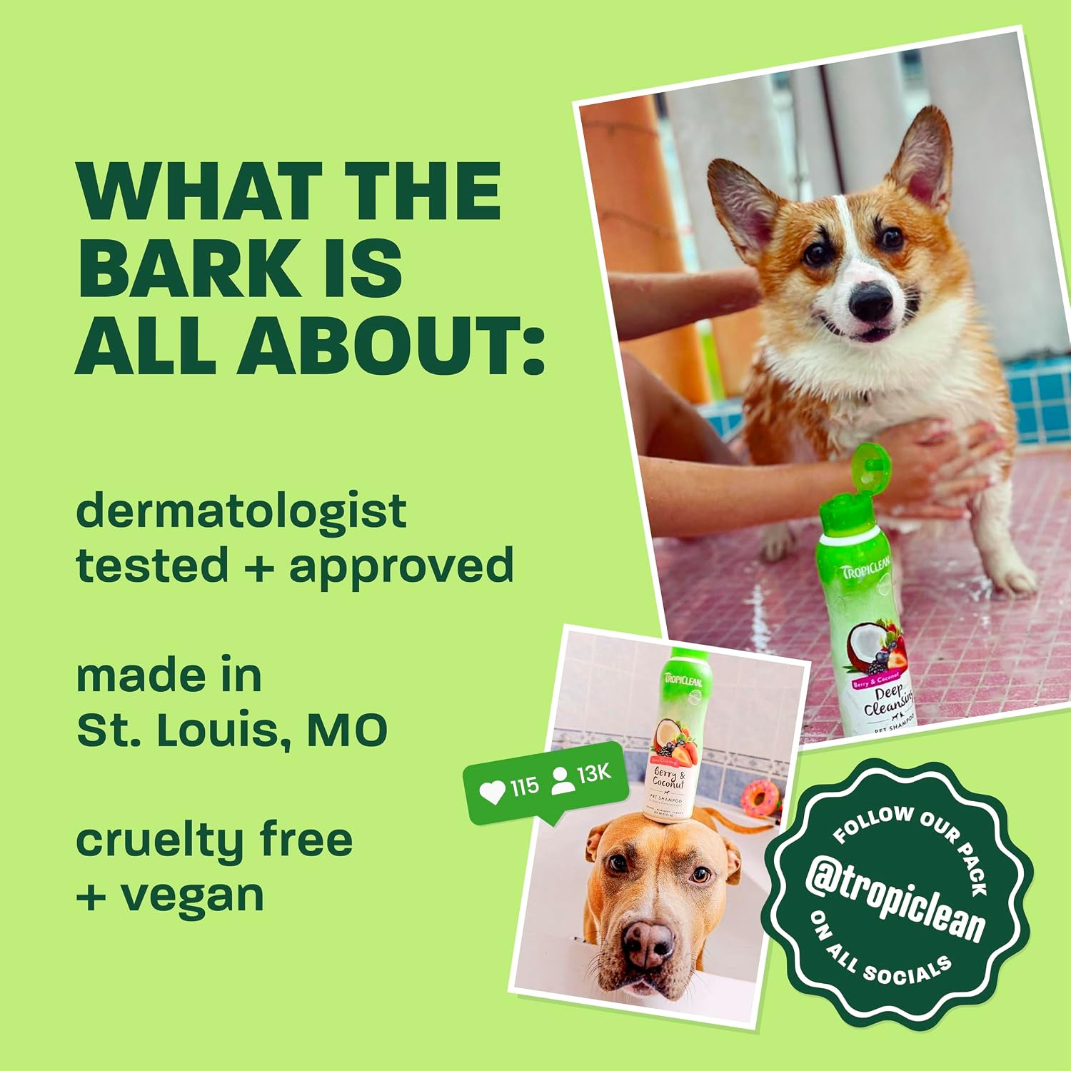 TropiClean Deodorizing Dog Shampoo for Smelly Pets, Long Lasting Odor Control, Puppy Safe, Made in the USA, Berry Scent, Cat Friendly, 20oz.