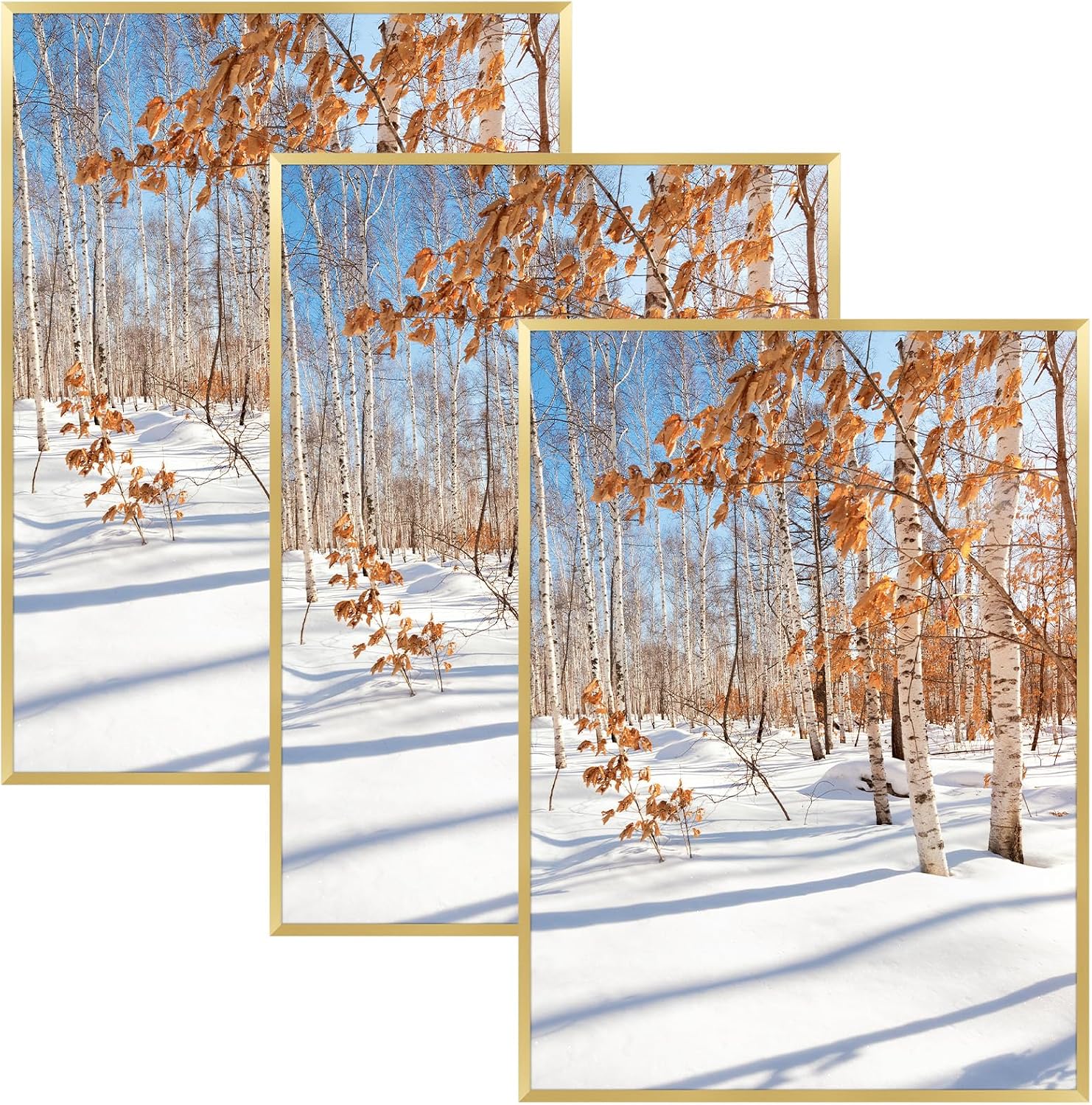 Golden State Art 3 Pack 12x12 Black Aluminum Frames, Real Glass Fronts