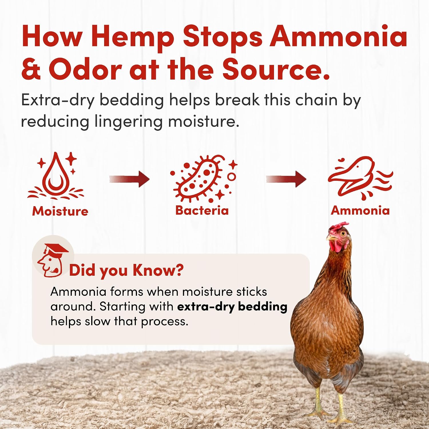 RentACoop 300L Hemp Bedding for Chickens, Rabbits, Guinea Pigs & Hamsters | Super Absorbent, Low Dust, Natural Odor Control for Chicken Coops