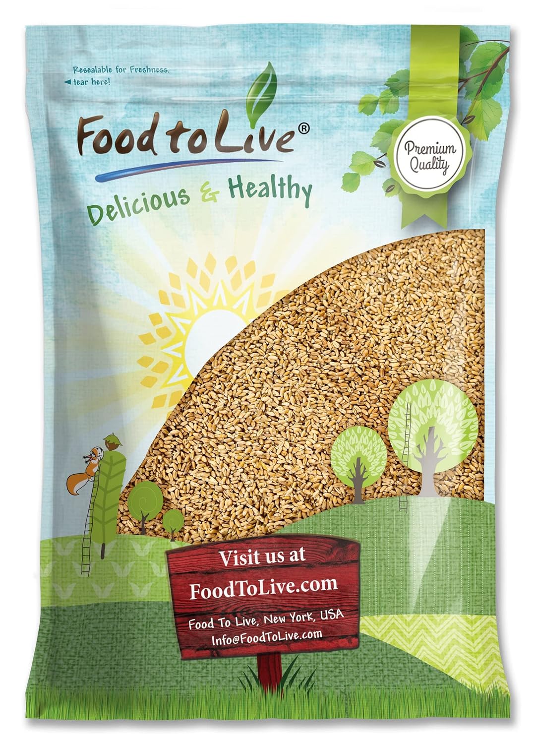 Food to Live Hard Red Wheat Berries, 3 Pounds – Sprouting for Wheatgrass, Kosher, Raw, Vegan, Bulk