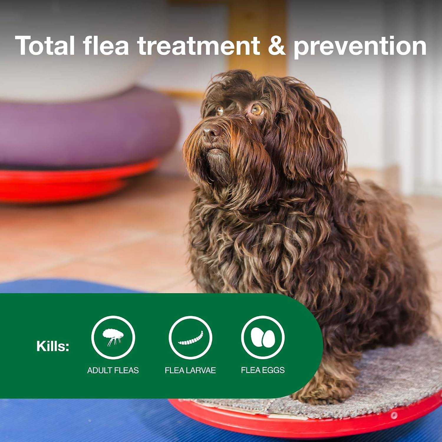 Advantage II Large Dog Vet-Recommended Flea Treatment & Prevention | Dogs 21-55 lbs. | 4-Month Supply