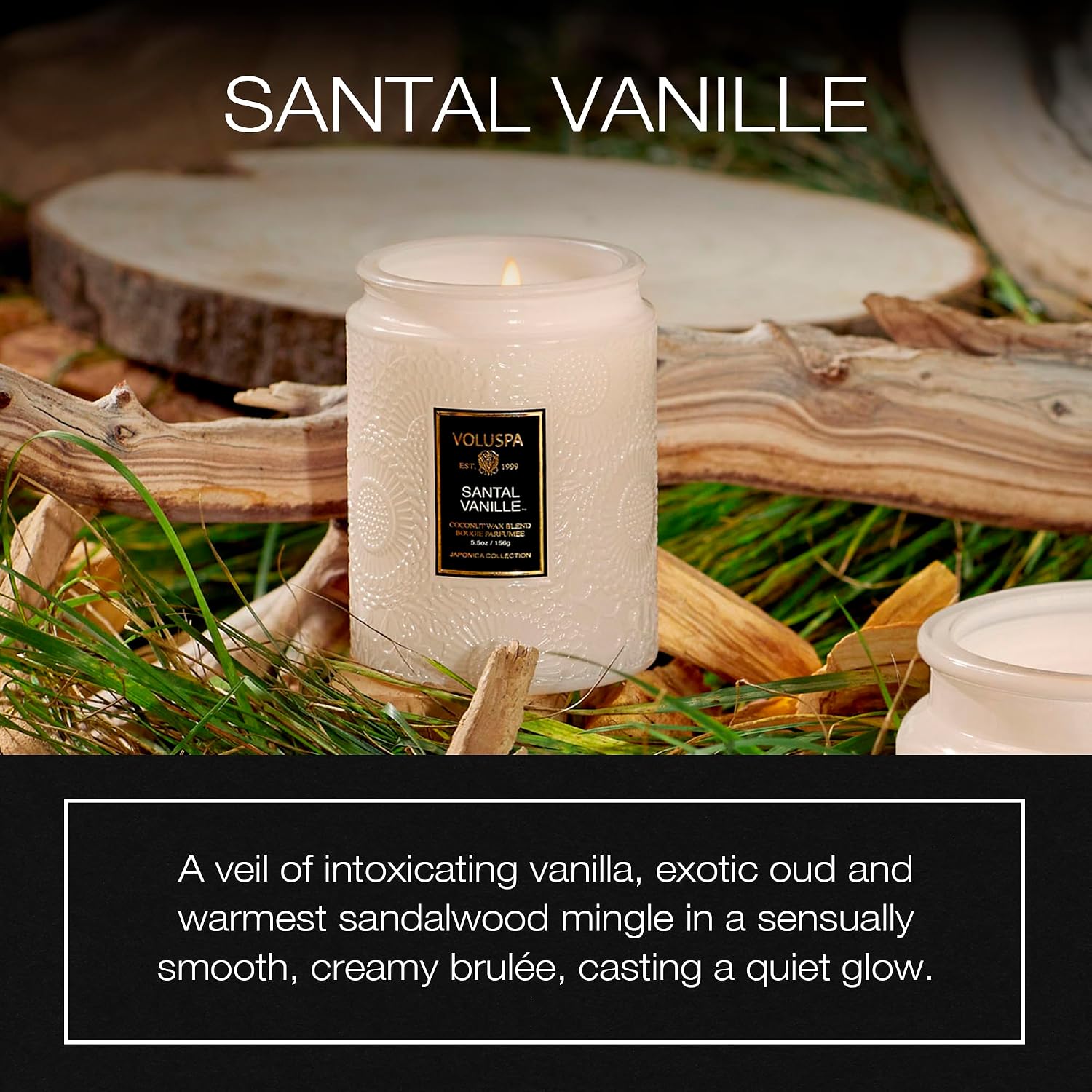 Voluspa Baltic Amber, Small Candle Jar, 5.5 oz, 50 Hour Burn Time, Coconut Wax for Clean Burning, Handcrafted in the USA