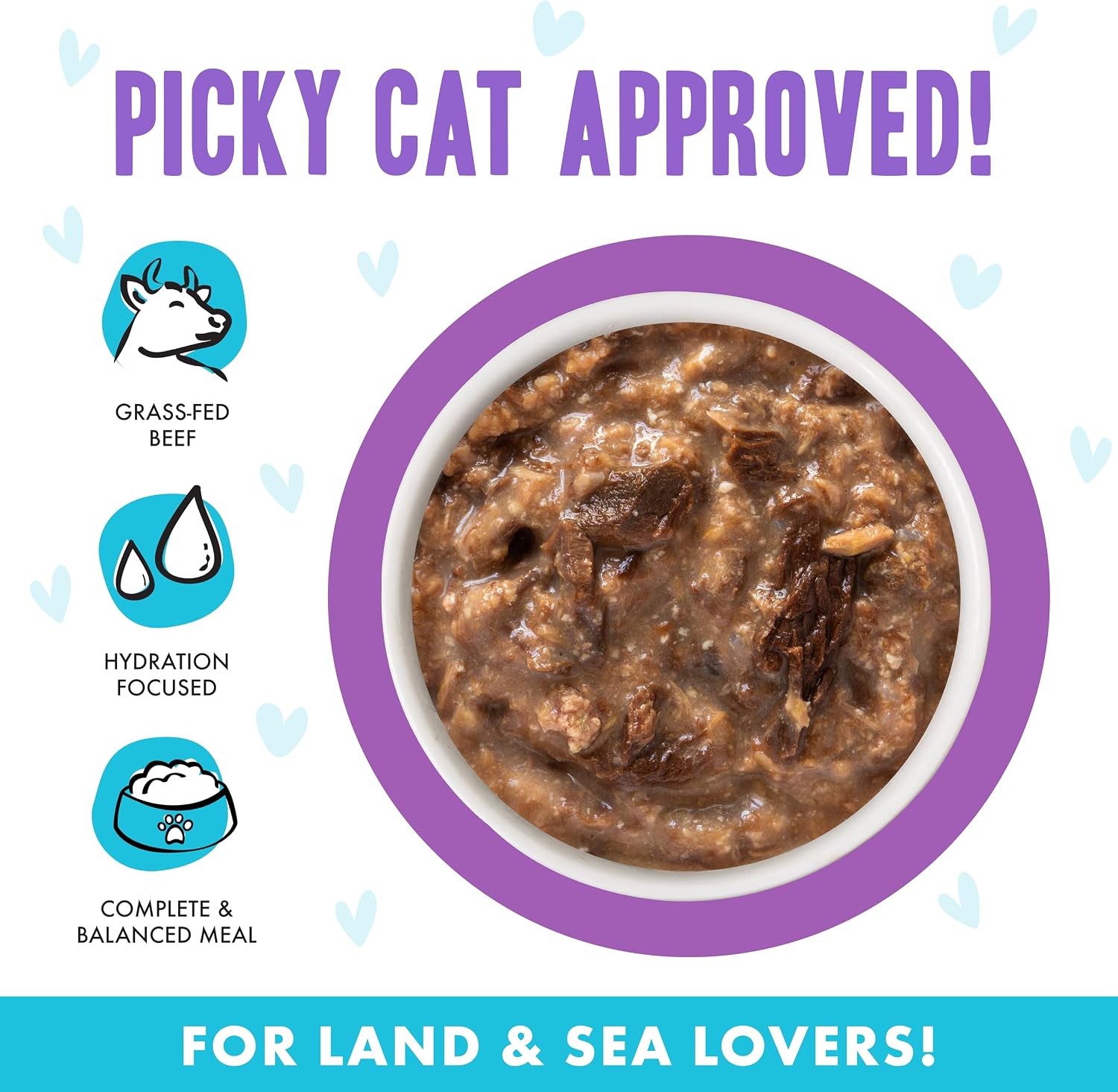 Weruva B.F.F. OMG - Best Feline Friend Oh My Gravy!, Tuna & Salmon Sweet Cheeks with Tuna & Salmon in Gravy Cat Food, 3oz Pouch (Pack of 12)