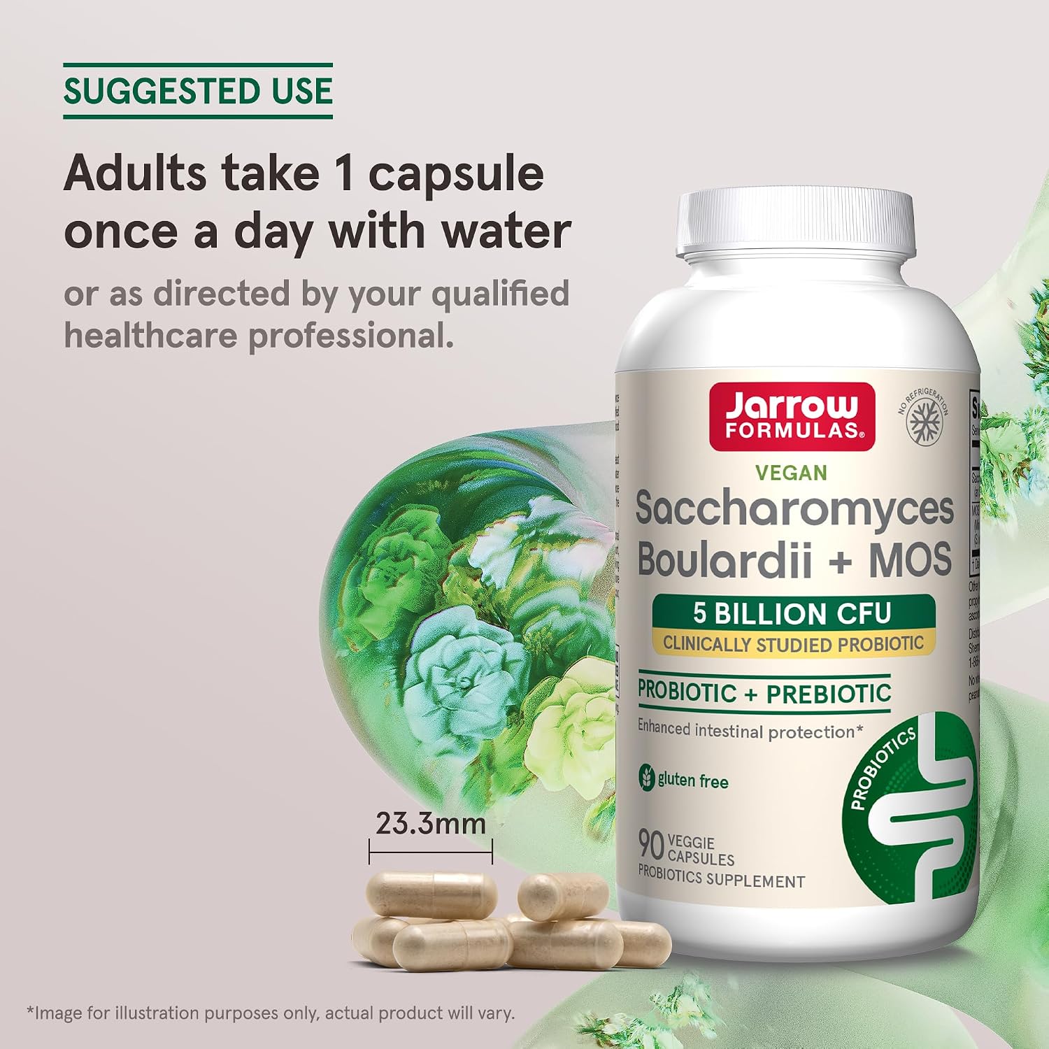 Jarrow Formulas Saccharomyces Boulardii + MOS Probiotics for Digestive Health and Intestinal Tract Support - 5 Billion CFU Per Serving - 90 Delayed Release Caps - Probiotic + Prebiotic - 90 Servings | Intestinal Tract Support, 5 Billion CFU Per Serving,…