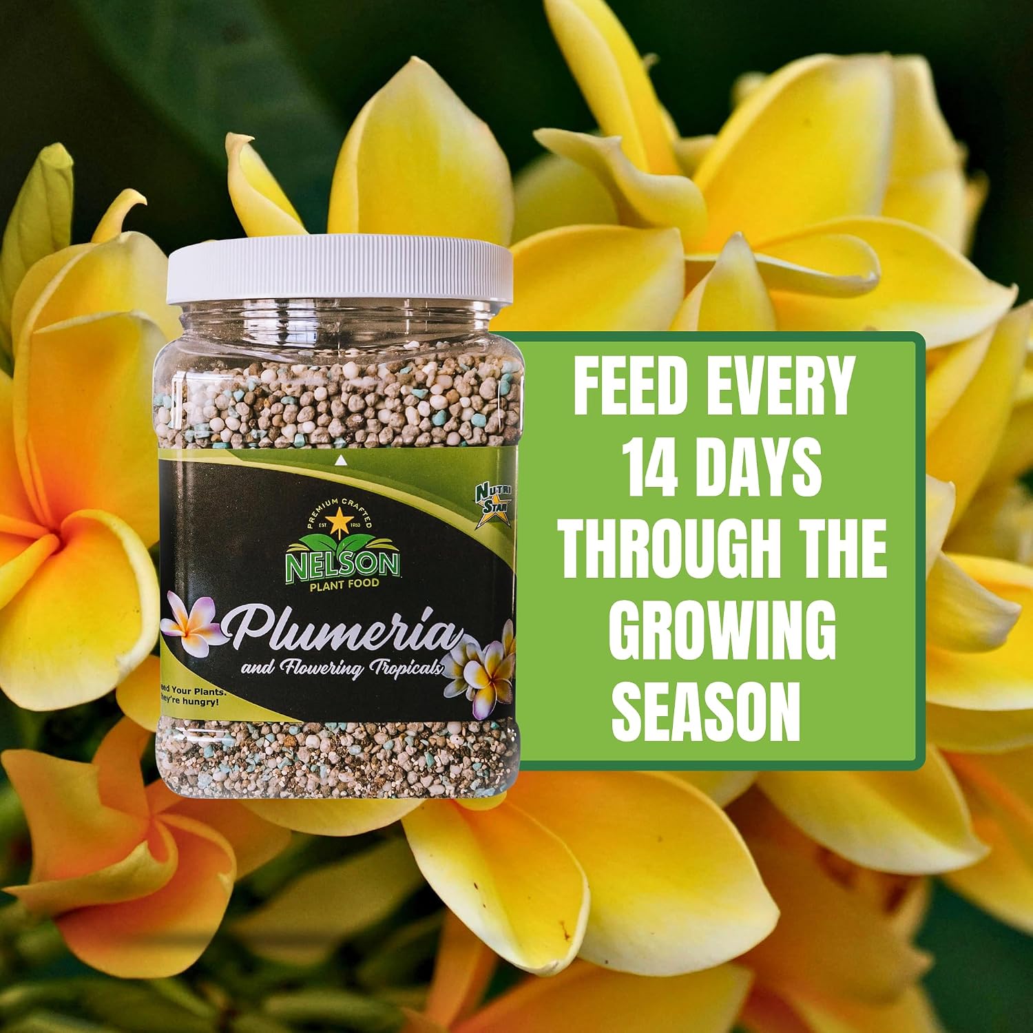 Nelson Plumeria Plant and All Flowering Tropicals Food Ferns Orchids Lilys In Ground Container Patio Grown Granular Fertilizer NutriStar 5-30-5 (4 lb)