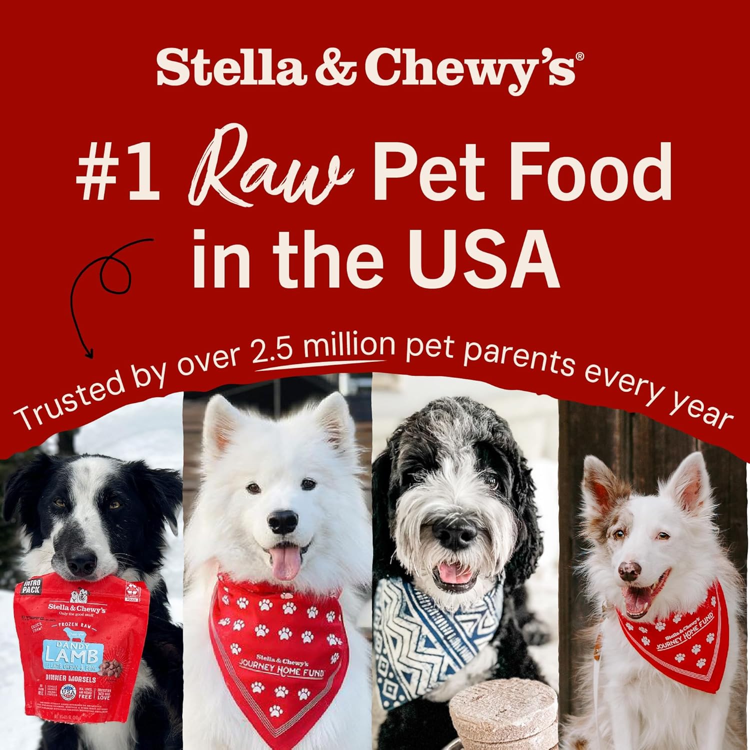 Stella & Chewy's Freeze-Dried Raw Lamb Heart Dog Treats - Single Ingredient, No Additives - Premium Training Treats - Perfect For Picky Eaters - 3oz Bag