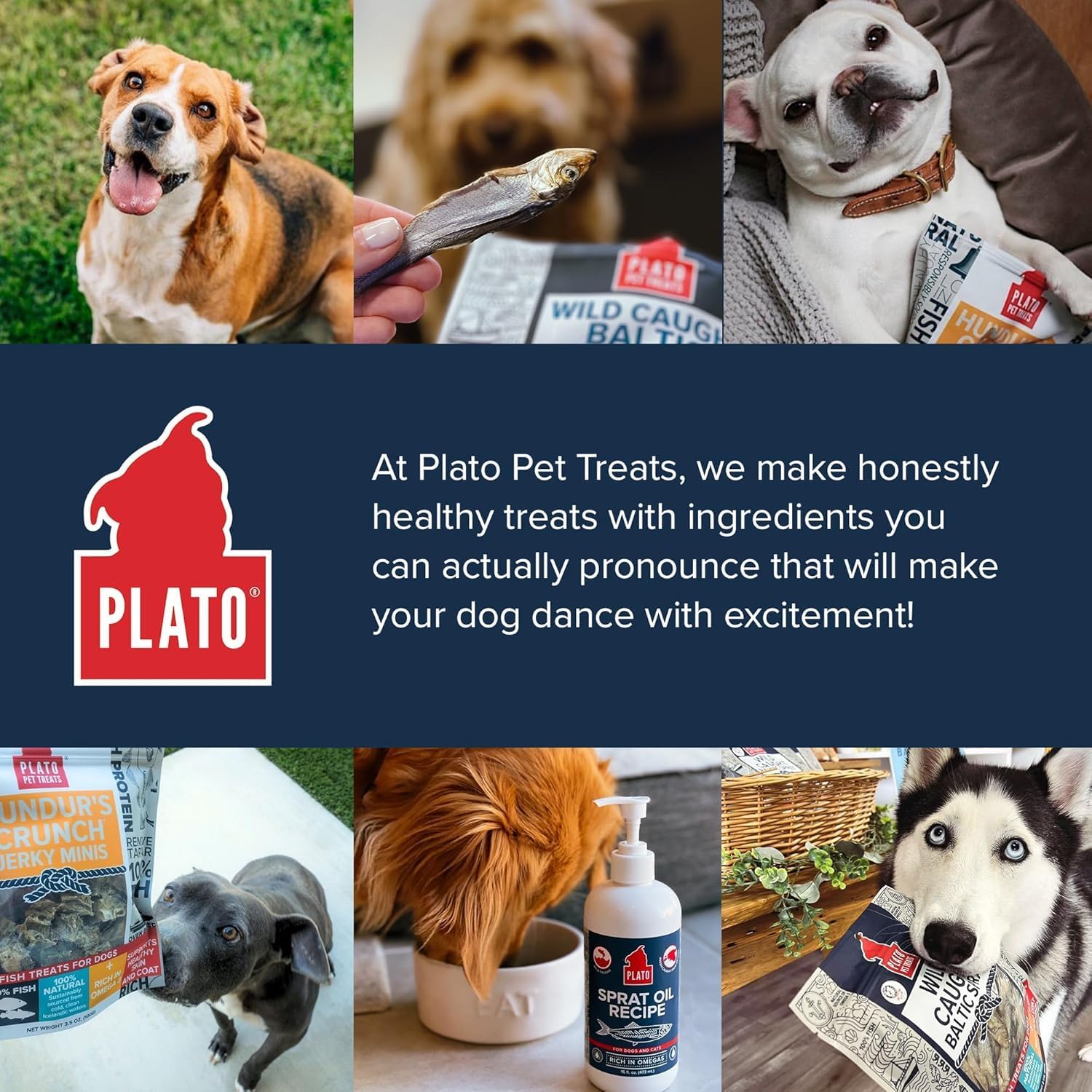 PLATO Single Ingredient Wild-Caught Baltic Sprat Dog Treats, Air-Dried Whole Fish, Omega-Rich Skin & Coat Support, 3 oz