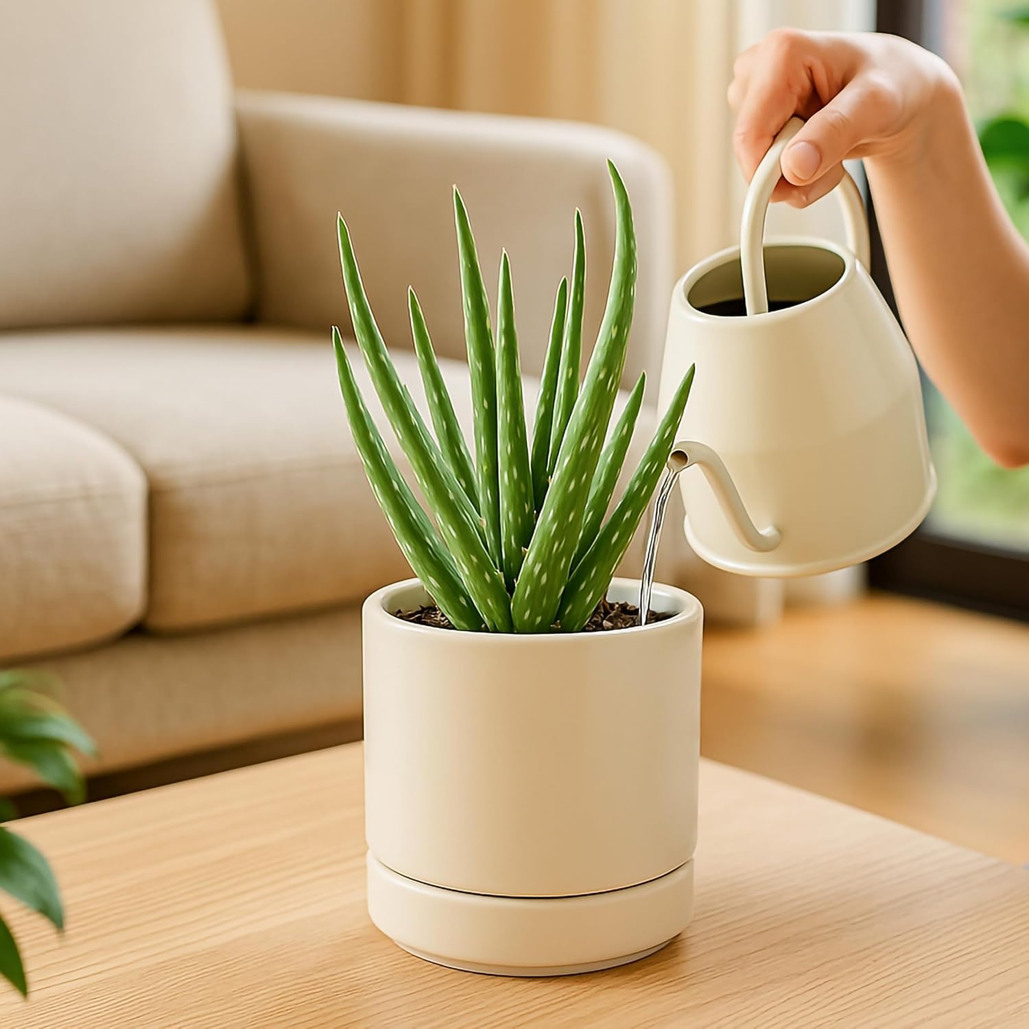 D'vine Dev 2-Pack Ceramic Pots with Saucers, White/Grey, 4.7 in, 94-V-B-6