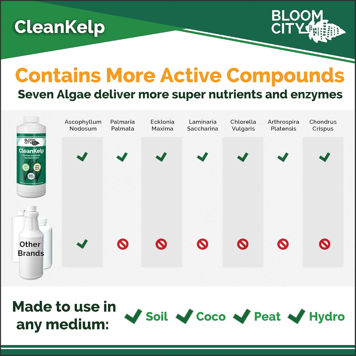 Bloom City Seaweed and Kelp Liquid Fertilizer for Plants, 32 oz | Encourages Strong Root Growth, Helps Ease Transplant Shock, Foliar Spray or Soil Drench, Indoor & Outdoor Garden Use