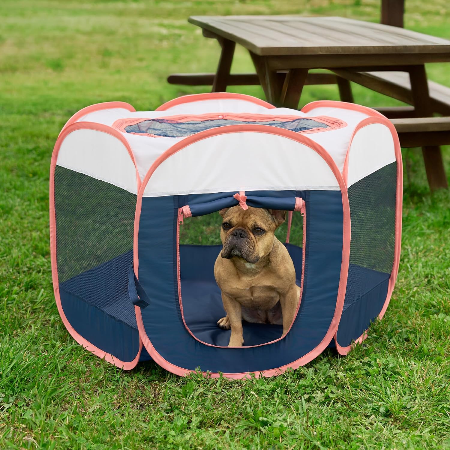 Furhaven Portable Dog Playpen Cat Tent, Pet playground,Kennel foldable indoor outdoor zippered puppy crate - Hunter Green, Medium