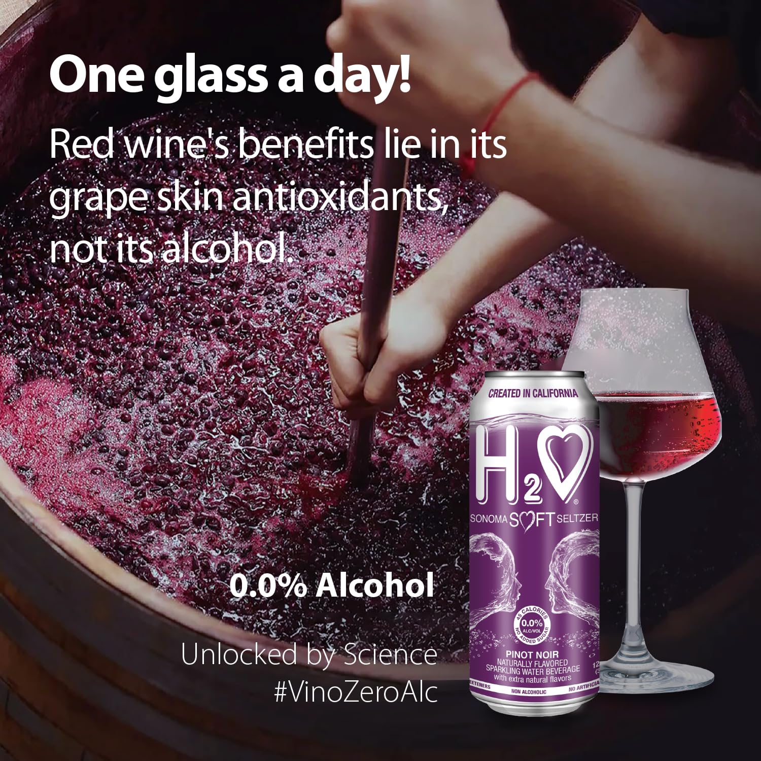 H2o - The Best Non Alcoholic Red Wine - Infused California Sparkling Refreshment, 0.0% Alcohol, (Pinot Noir, Pack of 4-12 Fl oz)