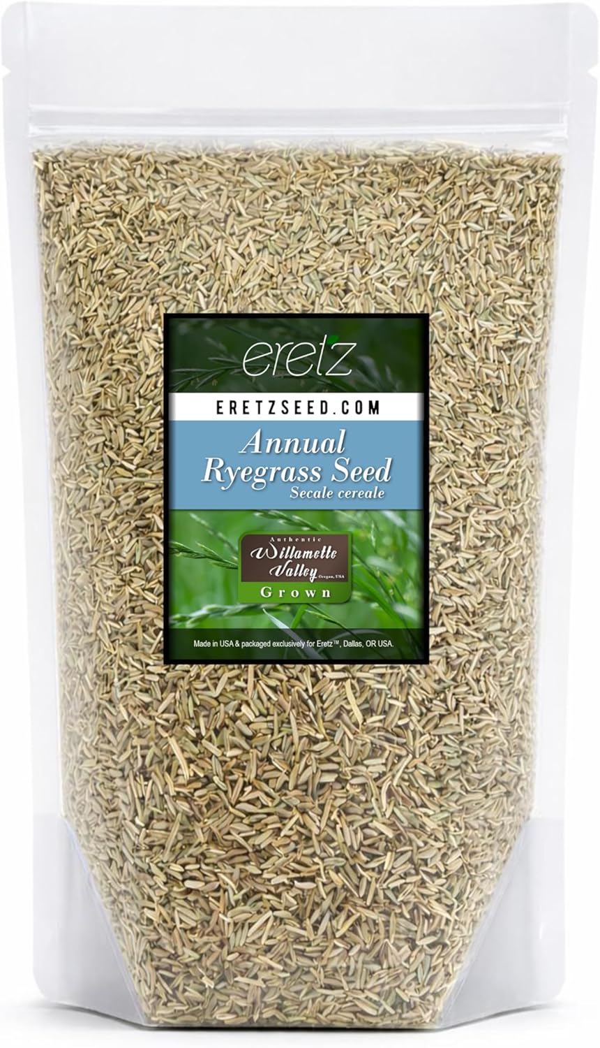 Annual RyeGrass Seed by Eretz - Willamette Valley, Oregon Grown. No fillers, No Weed or Other Crop Seeds (3lb)