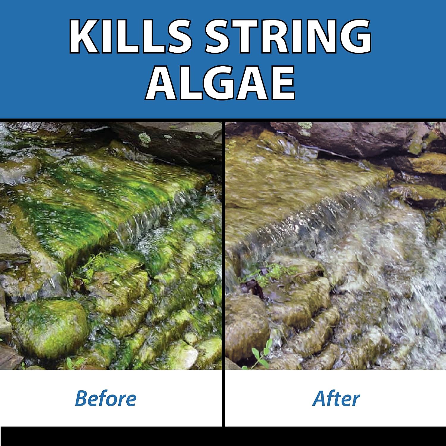 CrystalClear Algae-Off - Registered