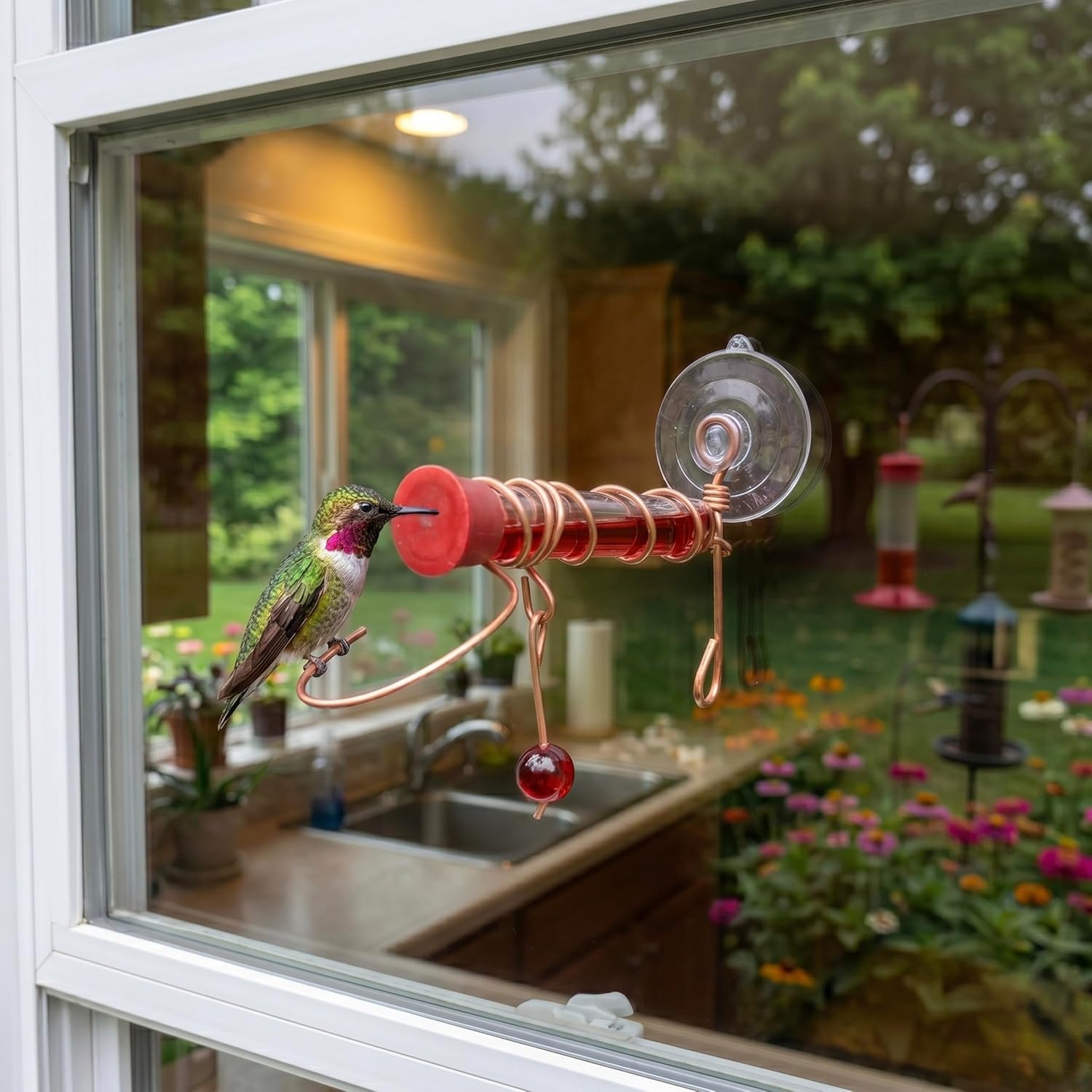 Window Hummingbird Feeder with Suction Cup, 2 Nectar Ports | Window Mount; Suction Cup Design; 2 Nectar Ports; Up-Close Viewing