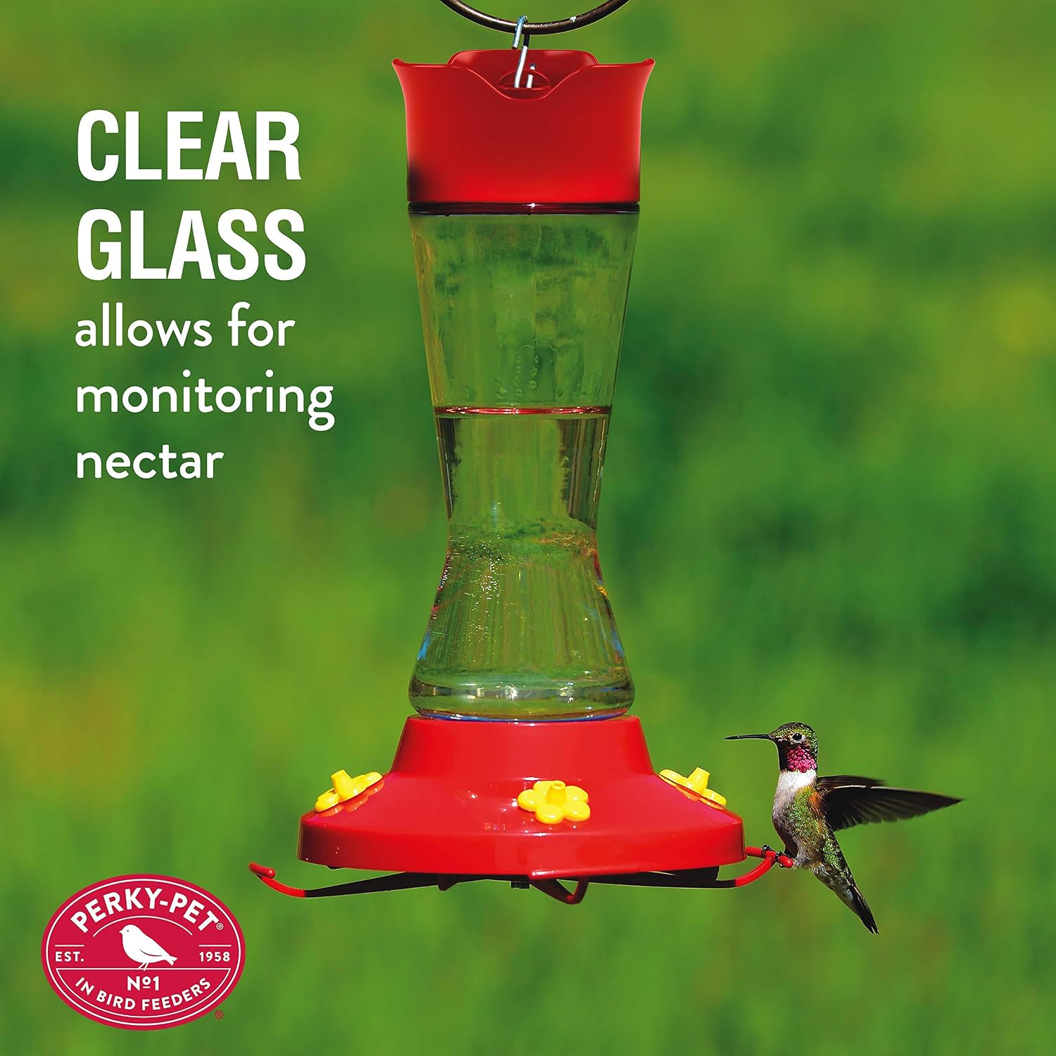 Perky-Pet 210PB Pinch-Waist Glass Hummingbird Feeder with Perches, Built-in Ant Moat and Bee Guards - Outdoor Garden Decor, Unique Gifts