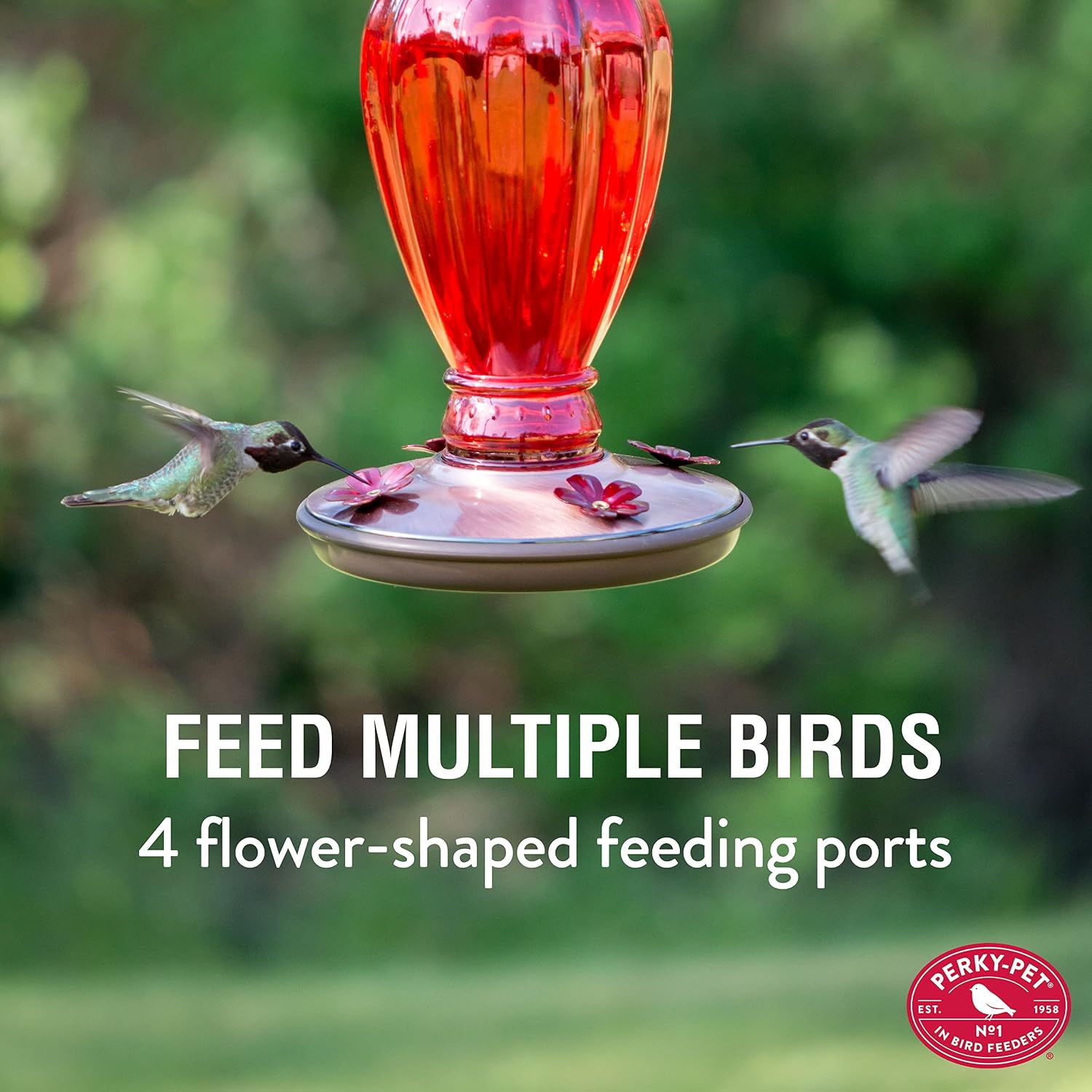 Perky Pet 8133-2 Daisy Vase Vintage Glass Hummingbird Feeder