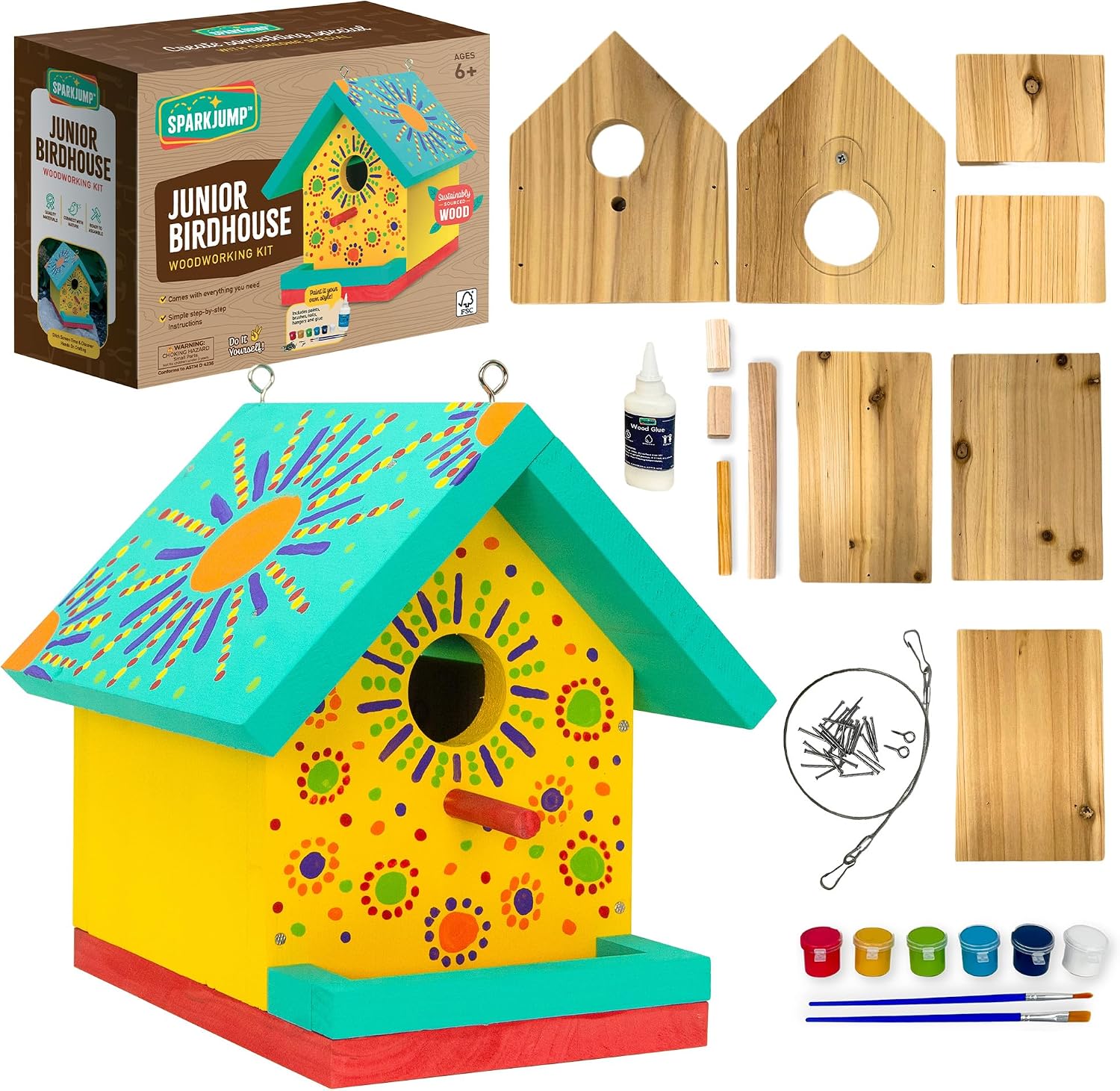 Jr Bird House Kit, DIY Cedar Wood Birdhouse for Outdoors with Paint