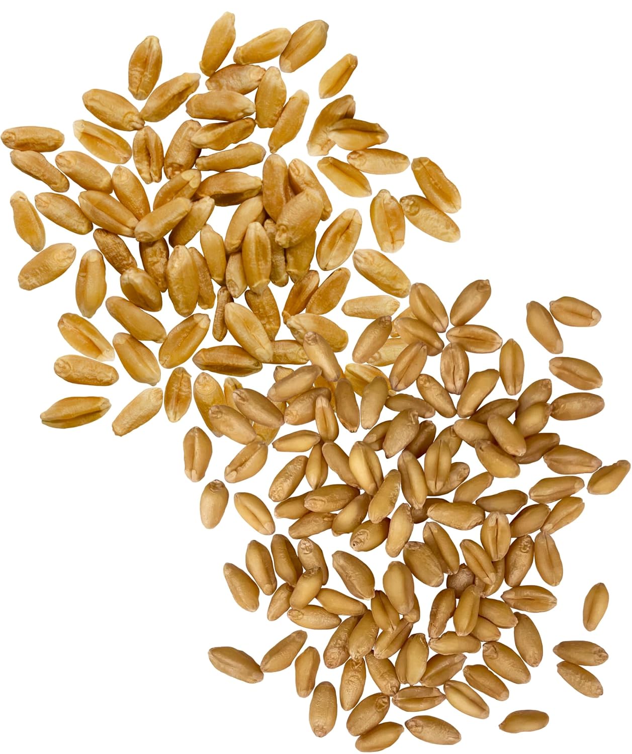Palouse Brand Certified Glyphosate Residue Free Hard Red Spring Wheat Berries | 5 LBS | 100% Non-Irradiated | Certified Kosher Parve | USA Grown | Non-GMO Project Verified