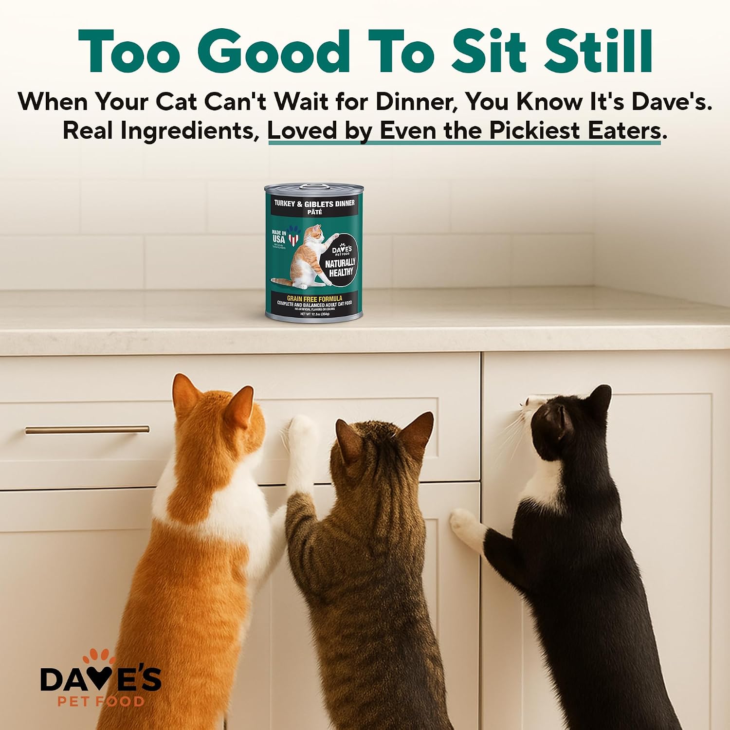 Dave's Pet Food Grain Free Wet Canned Cat Food Pate, Chicken, 12.5 oz, 12pk | Made in USA, Naturally Healthy, Easy to Digest Wheat & Gluten-Free, Use as Topper or Meal, Carrageenan-Free