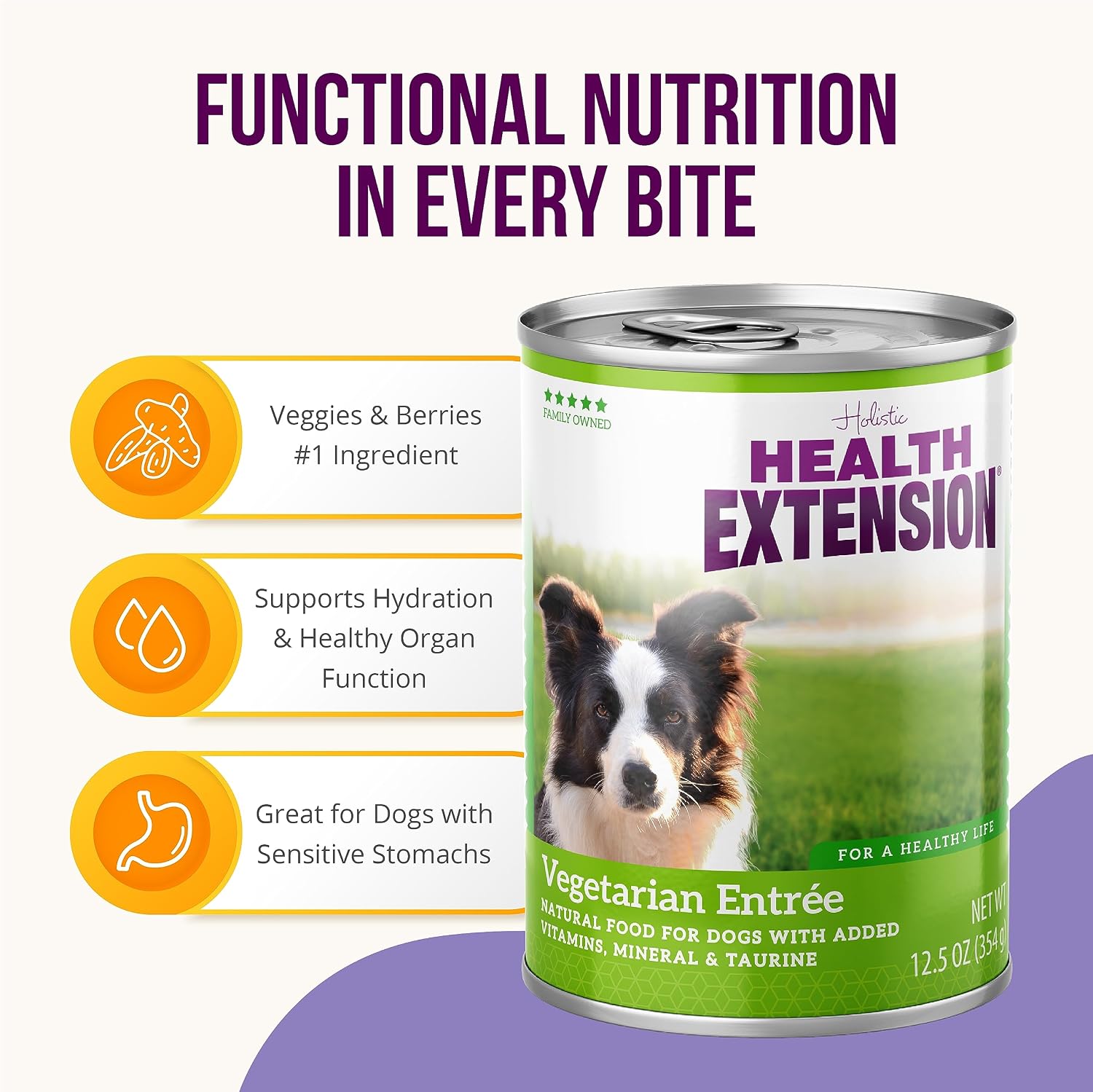 Health Extension Lamb Entrée Wet Dog Food, 12.5 oz – Protein-Rich Recipe, Hydration Support, Ideal for Sensitive Stomachs (Case of 12 Cans)