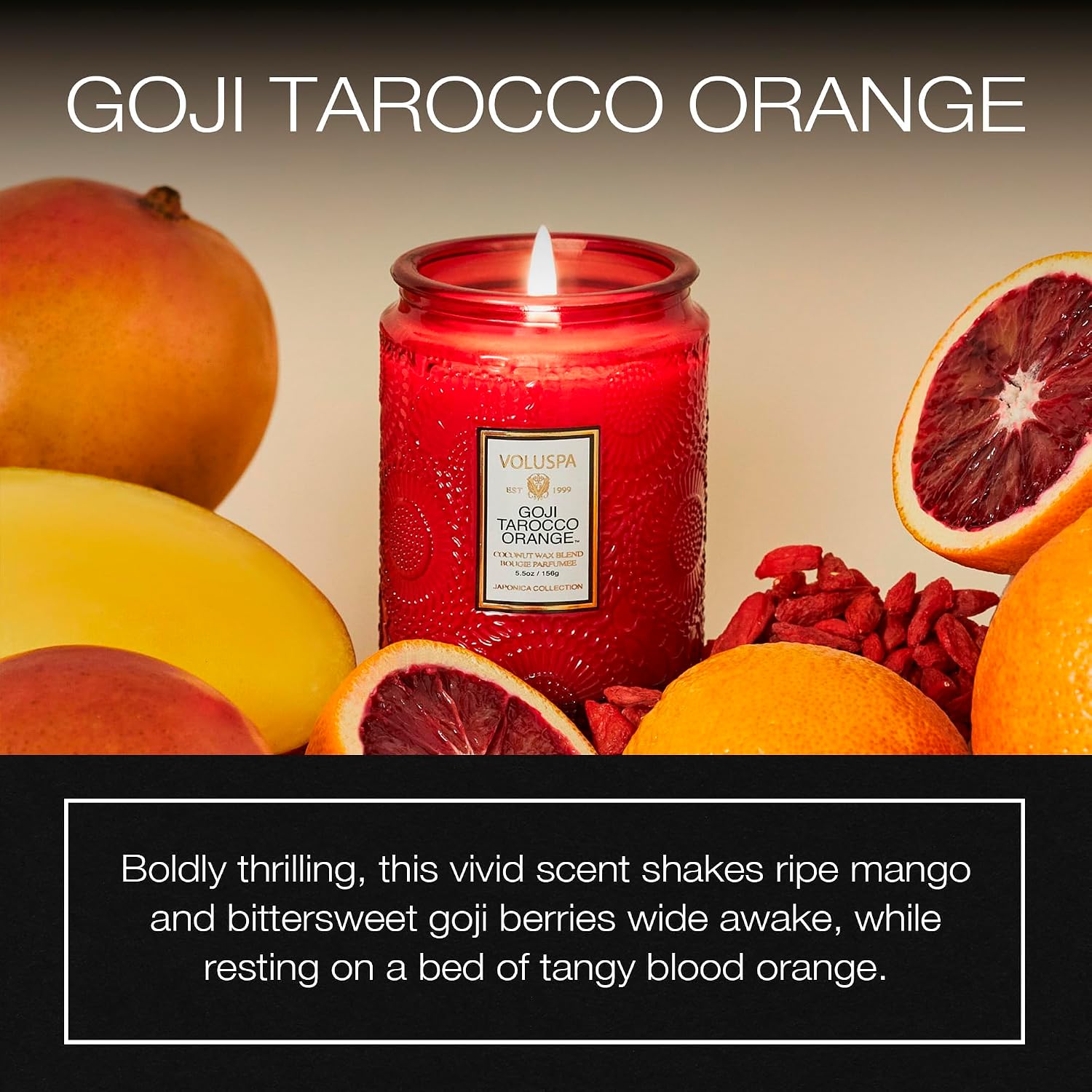 Voluspa Baltic Amber, Small Candle Jar, 5.5 oz, 50 Hour Burn Time, Coconut Wax for Clean Burning, Handcrafted in the USA
