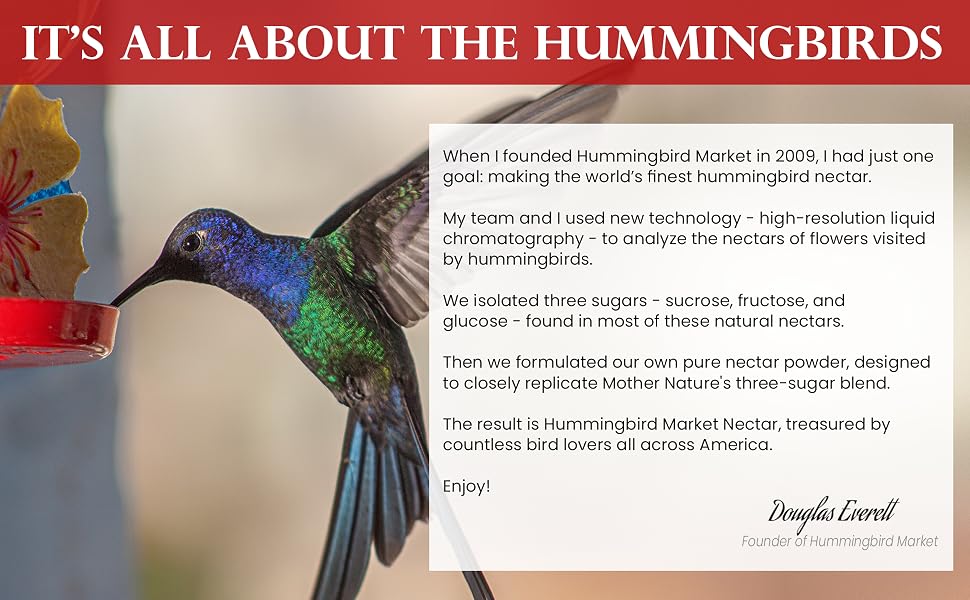 It’s All About the Hummingbirds