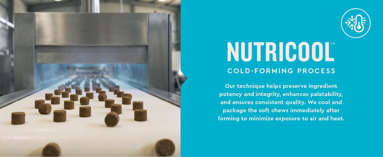 nutricool cold forming process preserve ingredient potency enhance palatability ensure quality