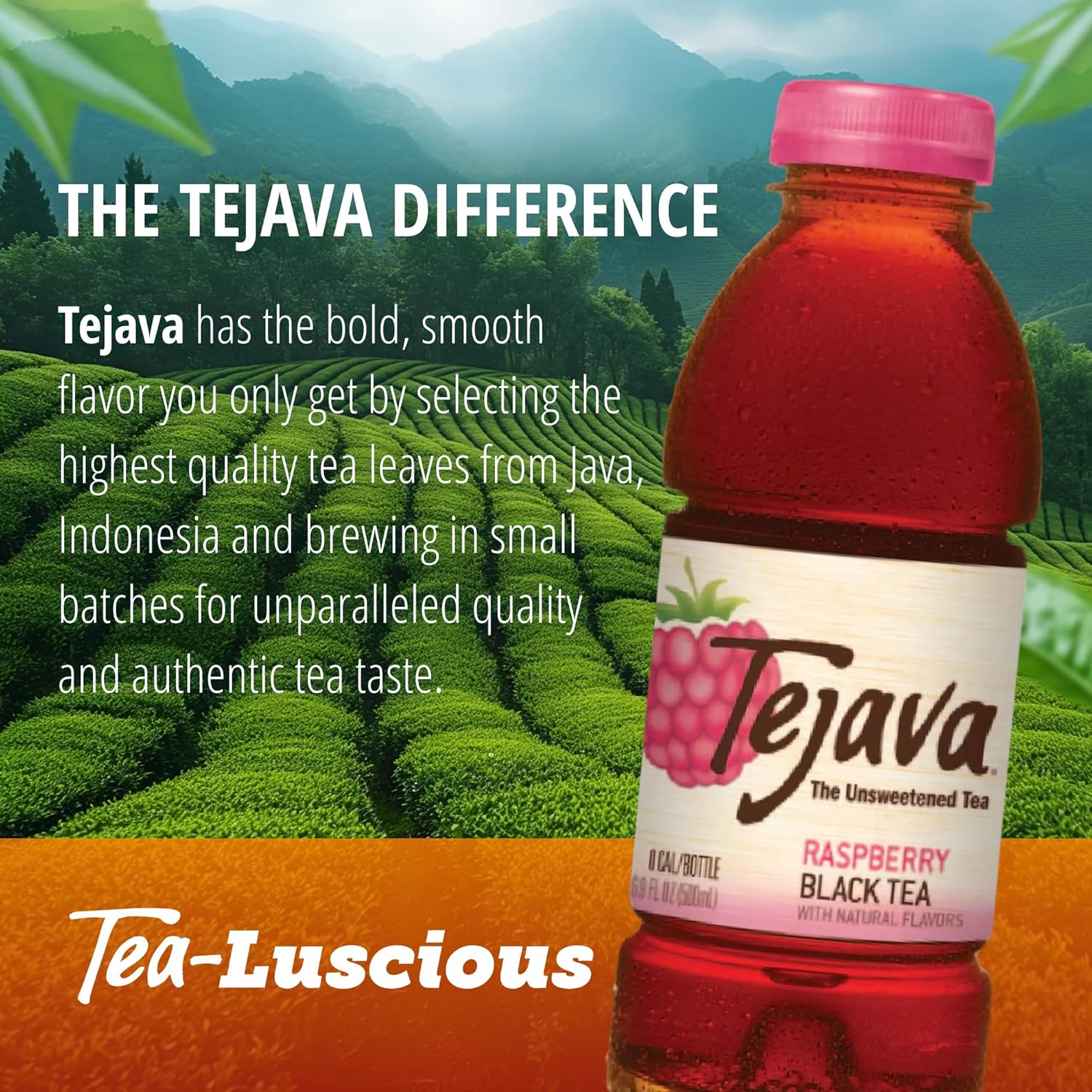 Tejava Pineapple Mango Unsweetened Black Iced Tea, 16.9 fl oz, Pack of 12