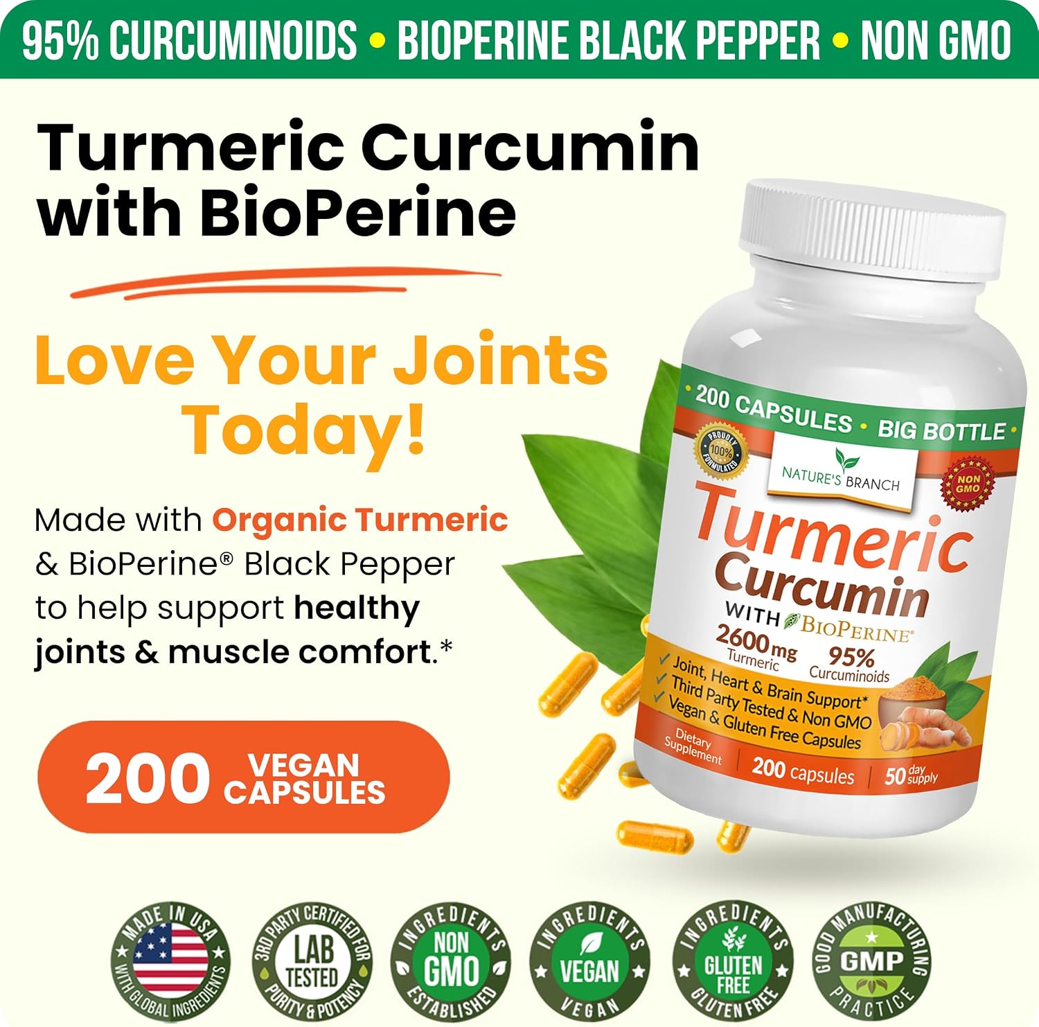 Turmeric Curcumin Supplement with Black Pepper 2600mg for High Absorption | Organic Turmeric Power – Turmeric Supplement For Joints