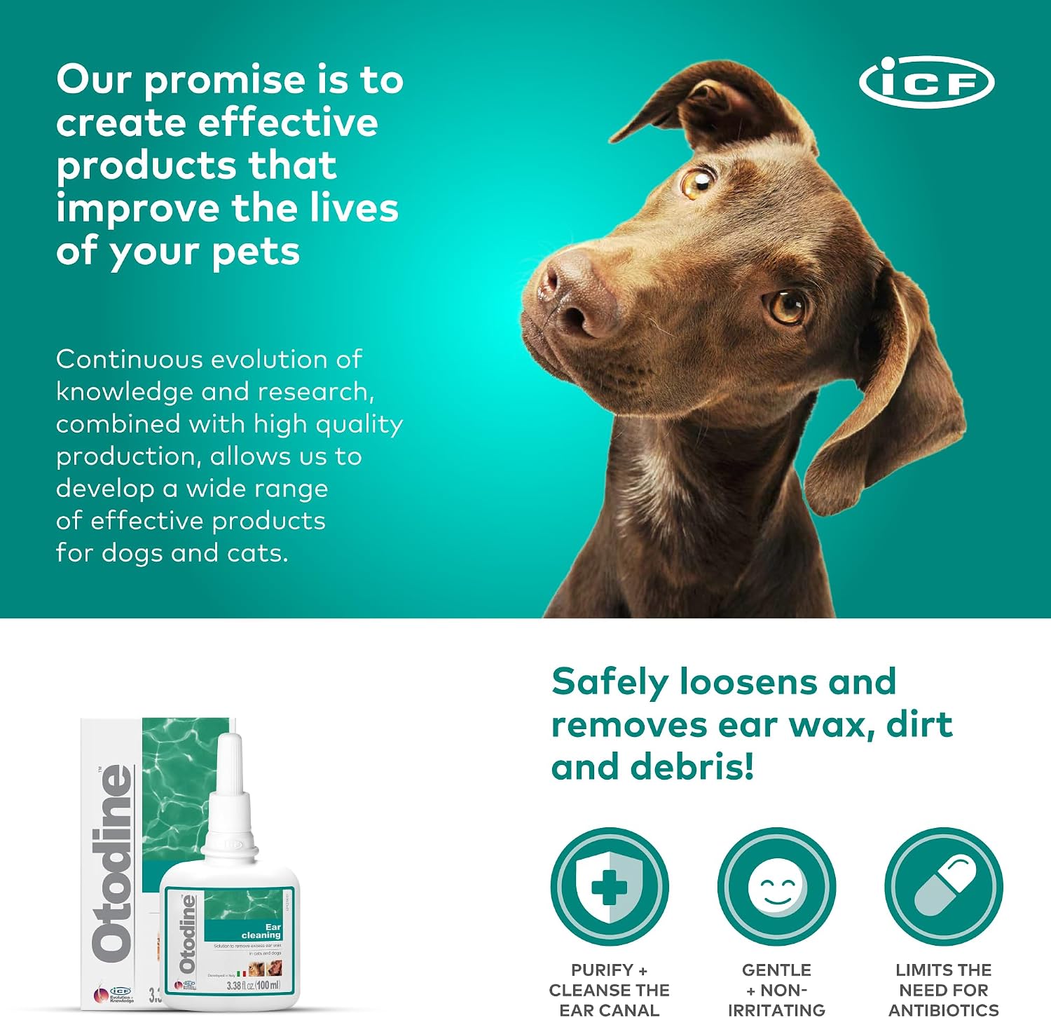 ICF Otodine Dog Ear Cleaner Solution Drops for Itchy Ears, Infections, Head Shaking, Scratching, Wax