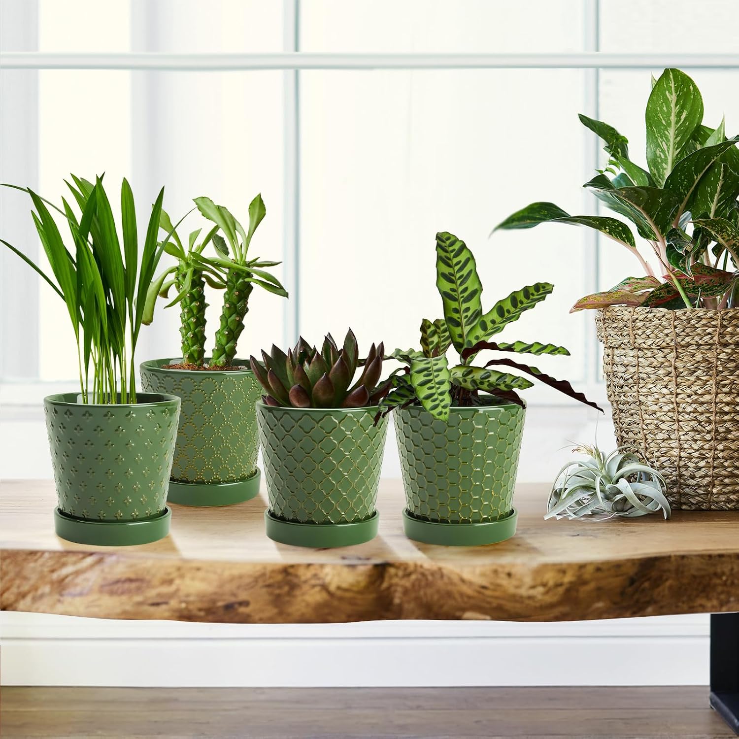 EFISPSS Ceramic Plant Pots, 5 Inch Planters with Drainage Holes and Ceramic Tray, Relief Design Flower Planter