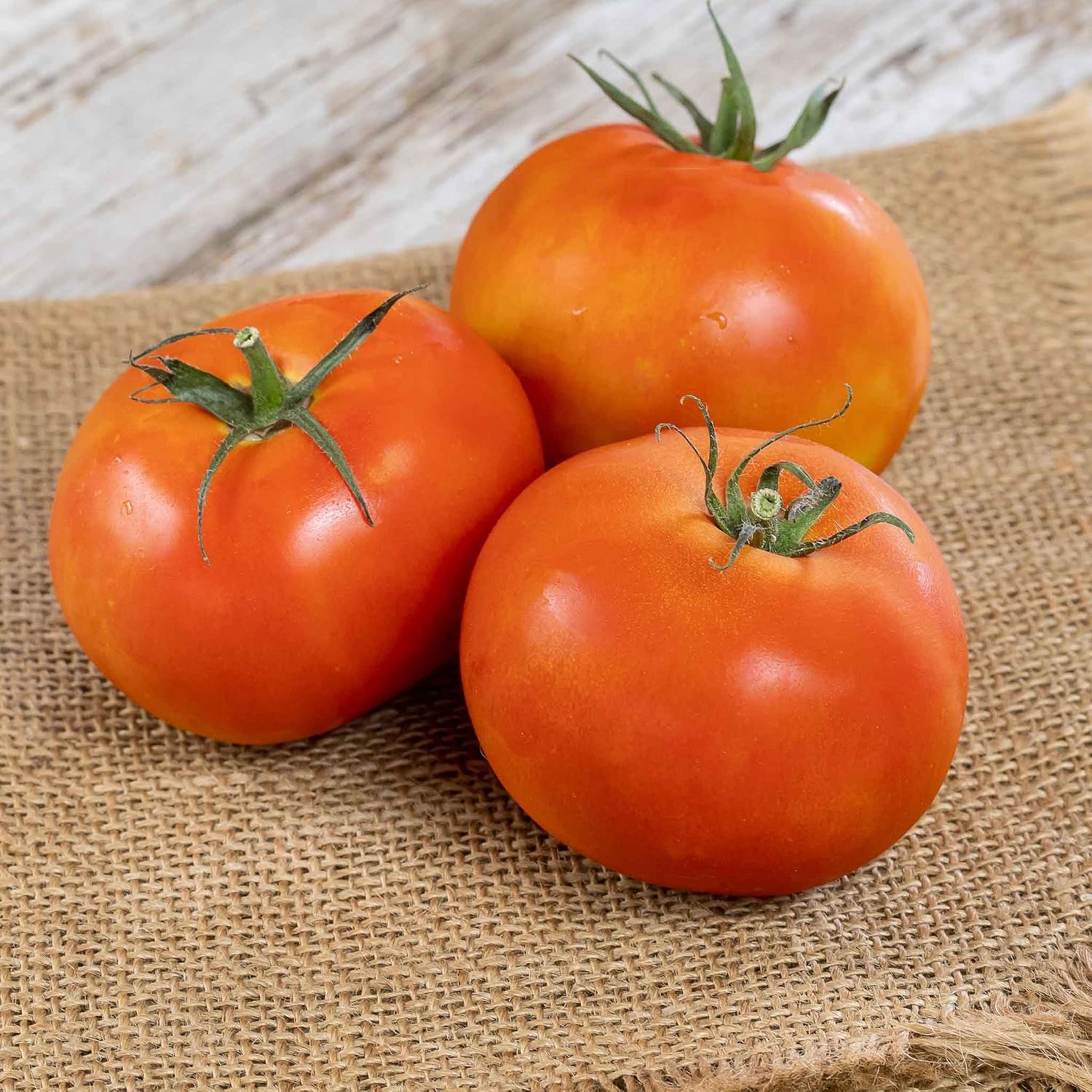 Eden Brothers Tomato Seeds - Persimmon Non-GMO Seeds for Planting, 1 oz | Low-Maintenance Vegetable Seeds, Plant During Warm Season, Zones 10, 3, 4, 5, 6, 7, 8, 9