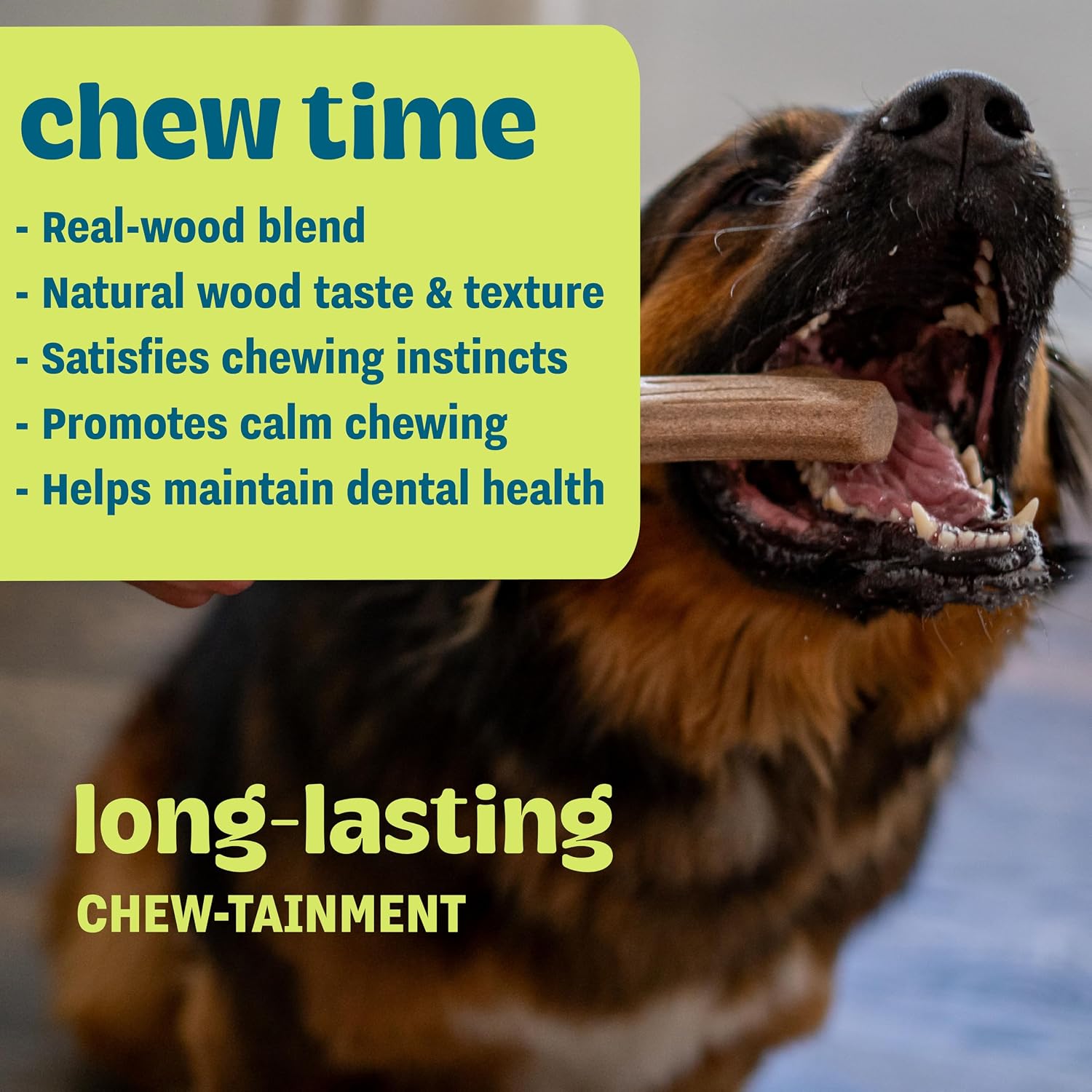 Pupstages Super Dogwood Stick Dog Chew Toy, Made in USA, X-Small, 6"