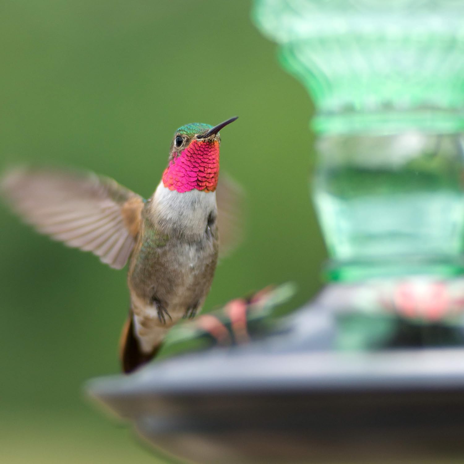 Perky-Pet Antique Glass Bottle Hummingbird Feeder, 10 oz Capacity, Green | 4 Feeding Ports for Outdoors Hanging Bird Feeders, Backyard Garden Décor