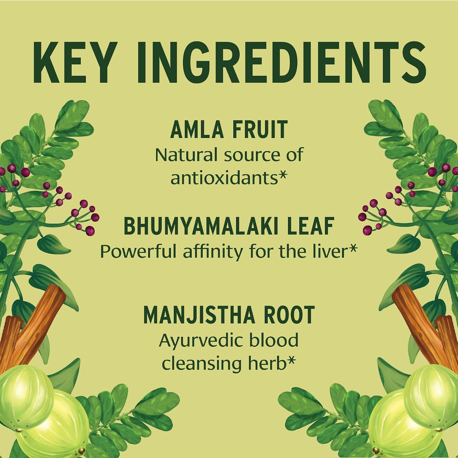 Banyan Botanicals Organic Total Body Cleanse – Systemic Detox & Metabolic Reset Supplement – with Manjistha & Amla for Liver and Blood Purity