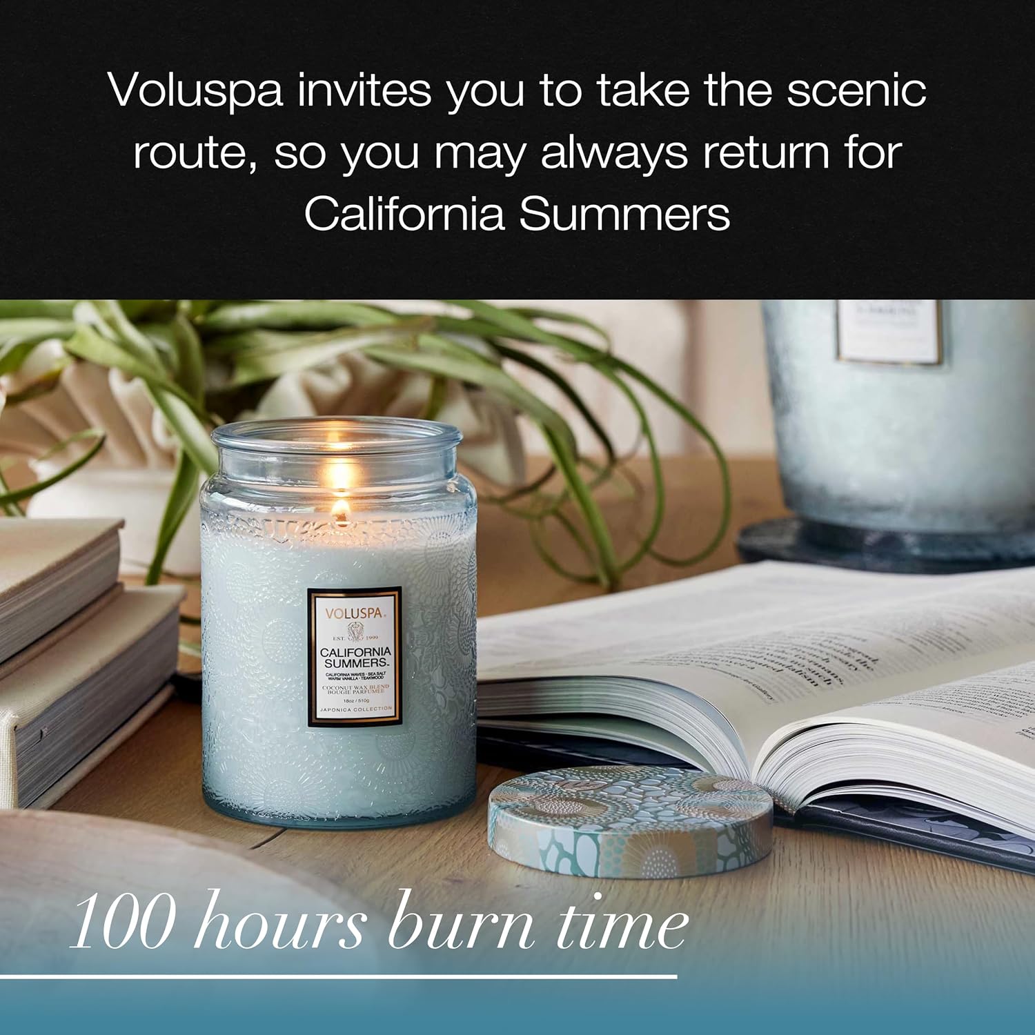 Voluspa French Cade Lavender Large Scented Candle Jar 18 Oz, 100 Hr Burn | Coconut Wax Blend in Decorative Glass, Clean Even Burn, USA Handcrafted Gift for Hosts, Fragrance Lovers & Relaxed Rooms