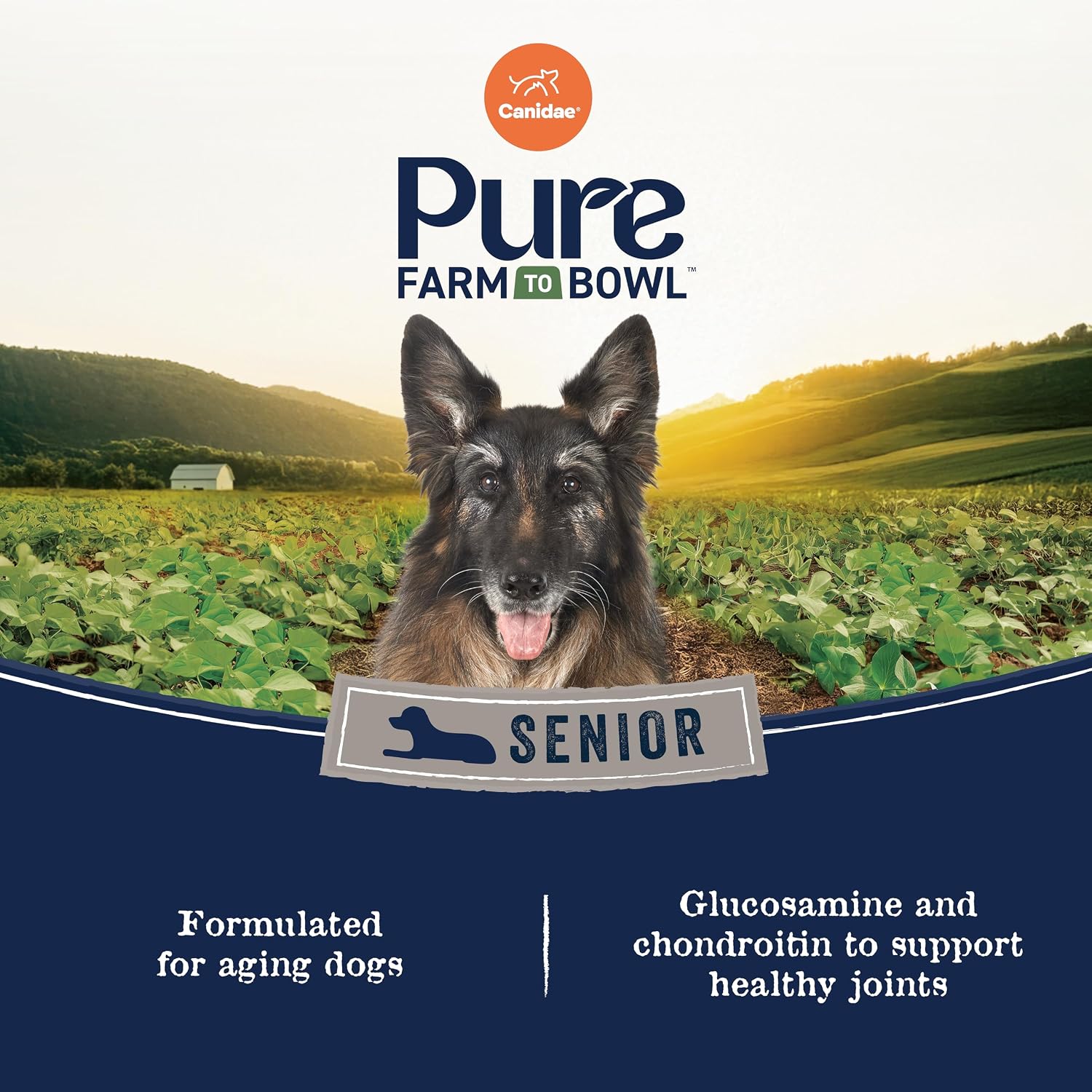 Canidae Pure Farm to Bowl Dry Senior Dog Food - Limited Ingredient Formula - Grain, Wheat & Soy-Free - Senior Dog Friendly - 22 lb - Free-Range Chicken, Sweet Potato & Garbanzo Bean Recipe