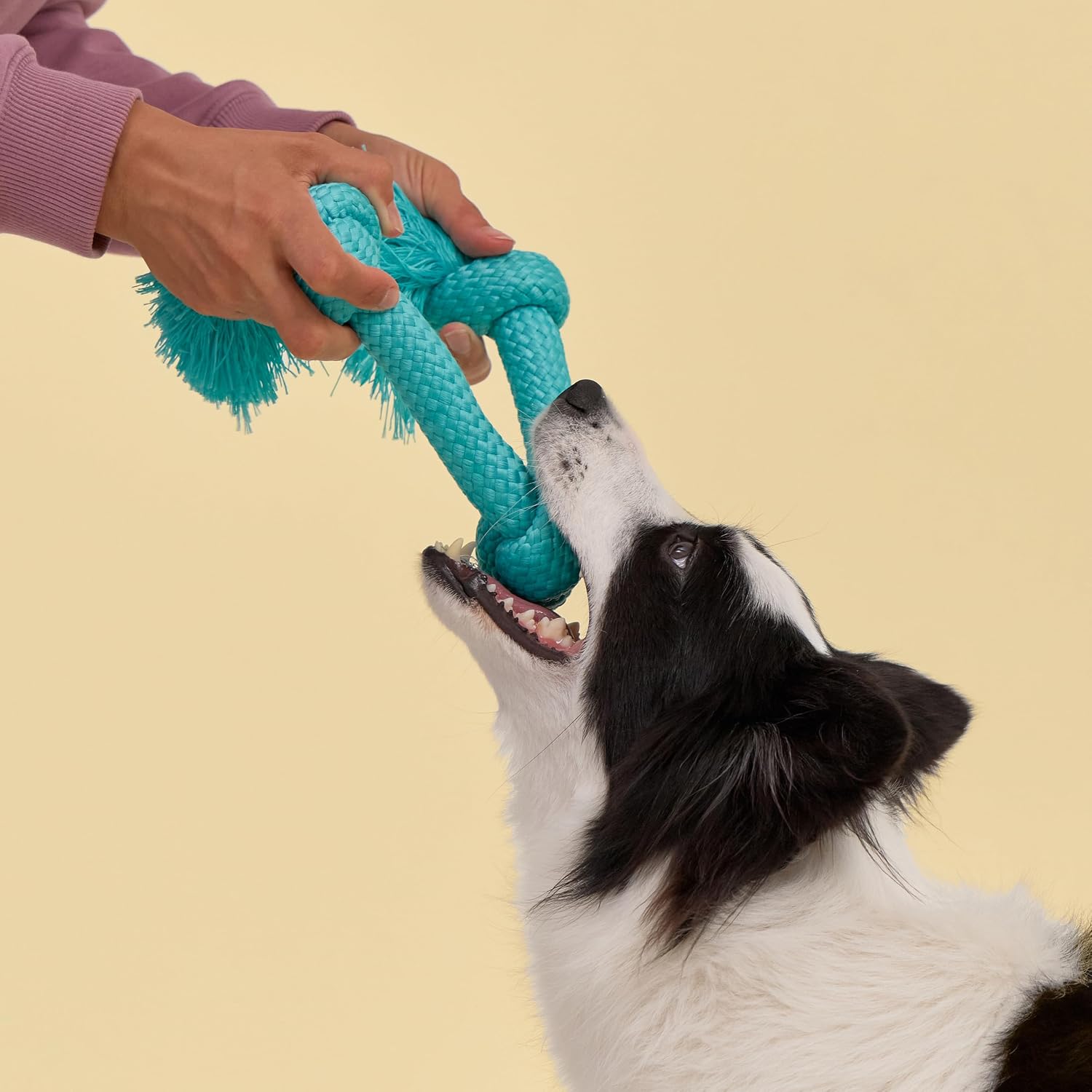 Playology Tug Rope Dog Toys for Large Breed Dogs - Jumbo, Beef Scent