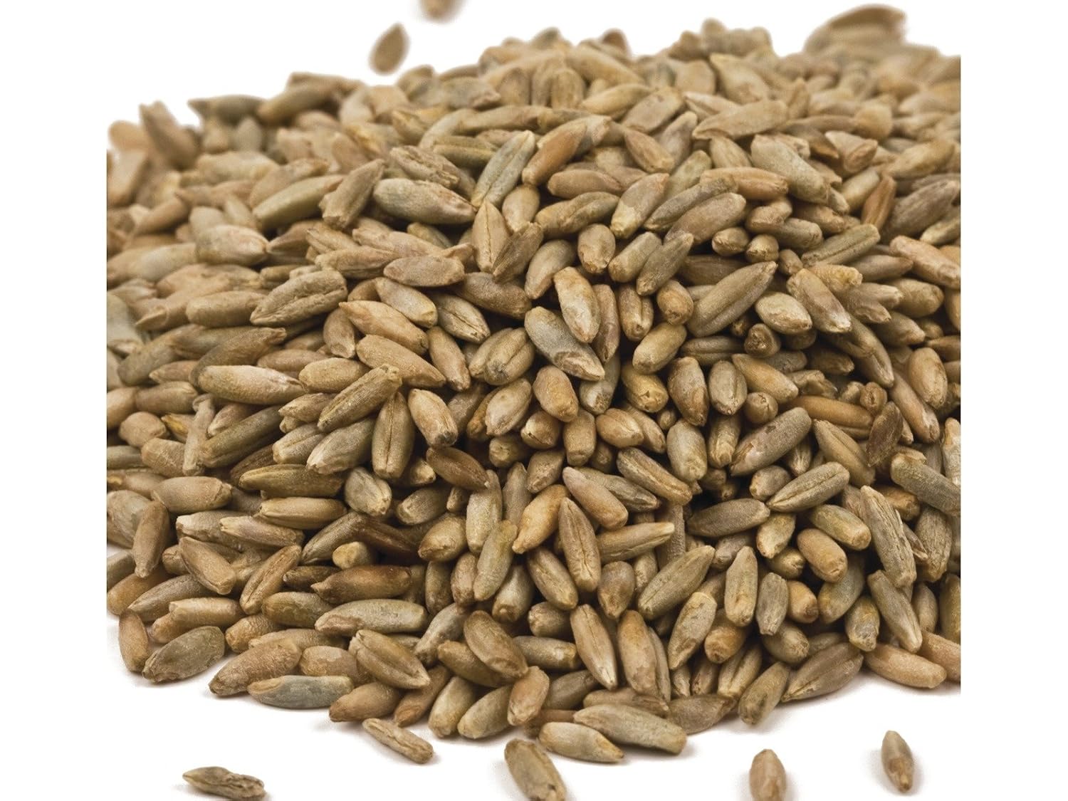 Organic Rye Berries 25 lbs.