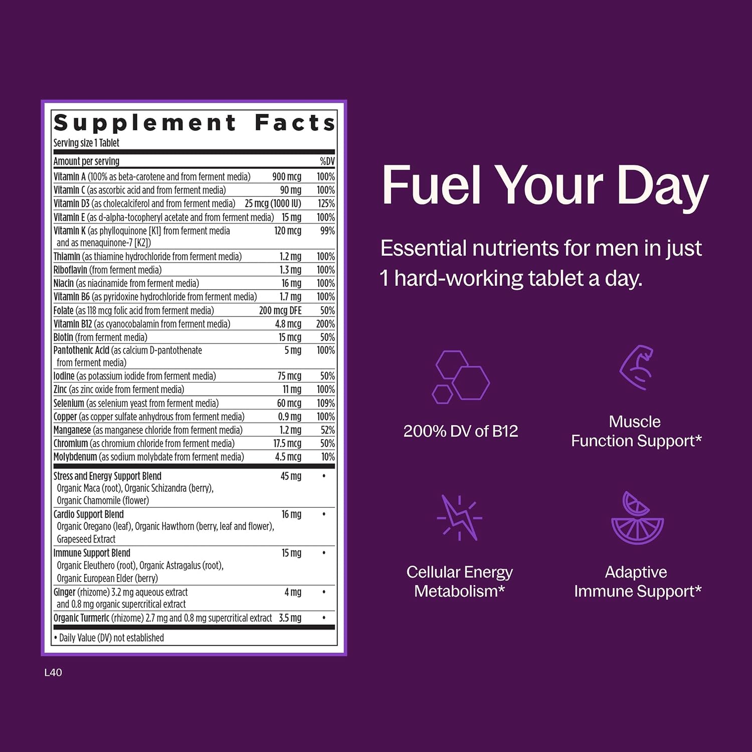 New Chapter Every Man's One Daily Multivitamin - Supports Immune, Energy & Bone Health* - Contains Fermented Ingredients, Organic Vegetables & Herbs - Vegetarian, Kosher & Gluten-Free - 48 Tablets