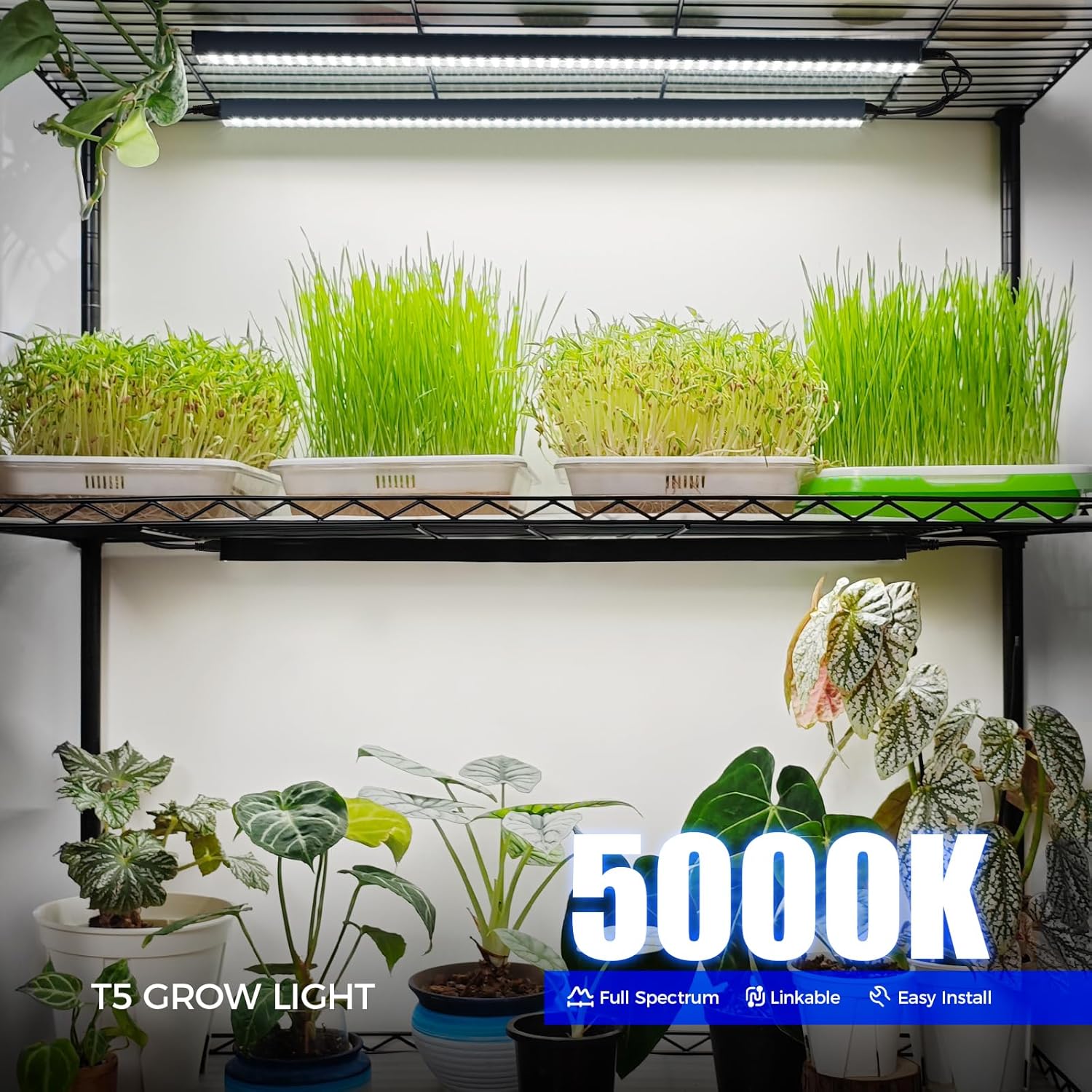 Barrina T5 Grow Lights for Indoor Plants, Full Spectrum, 2FT, 8 Packs