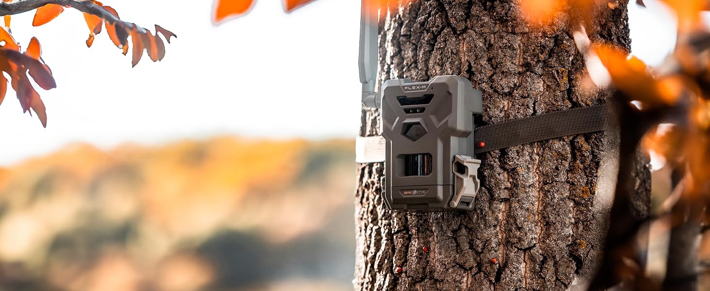 FLEX-M Camera on tree with strap trail camera sends picture to cell phone