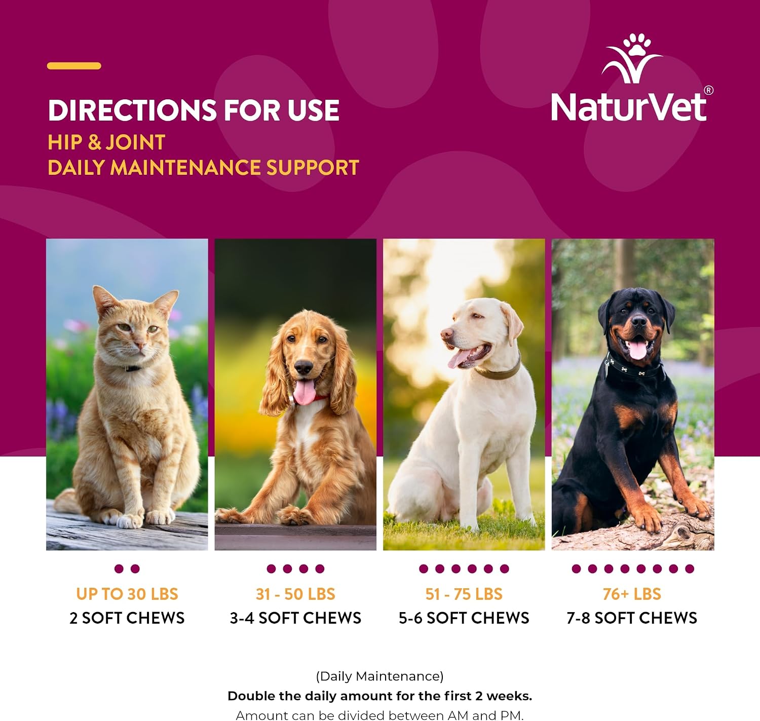 NaturVet – Senior Wellness Hip & Joint Advanced Plus Omegas | Help Support Your Pet’s Healthy Hip & Joint Function | Supports Joints, Cartilage & Connective Tissues | 120 Soft Chews