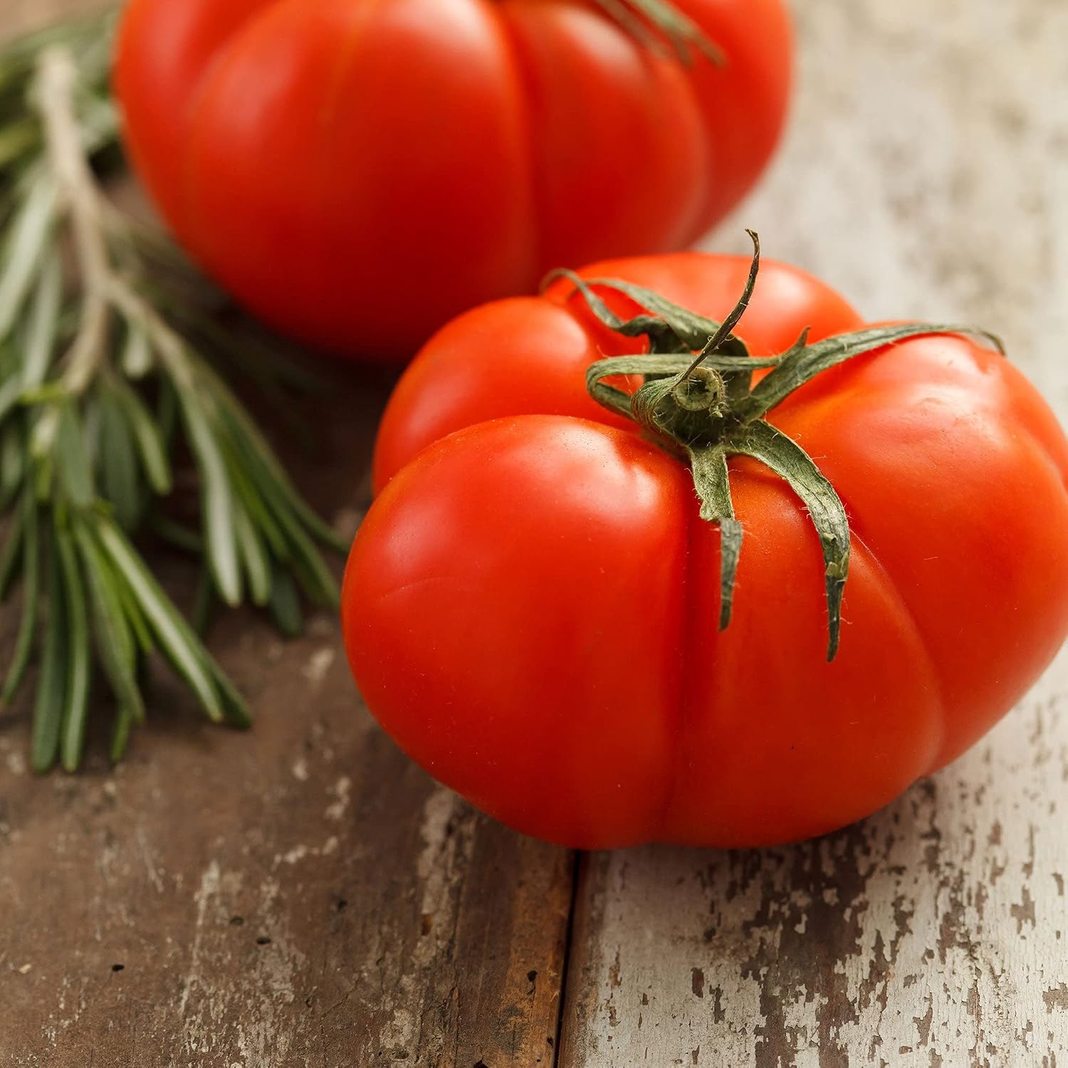 Eden Brothers Tomato Seeds - Persimmon Non-GMO Seeds for Planting, 1 oz | Low-Maintenance Vegetable Seeds, Plant During Warm Season, Zones 10, 3, 4, 5, 6, 7, 8, 9