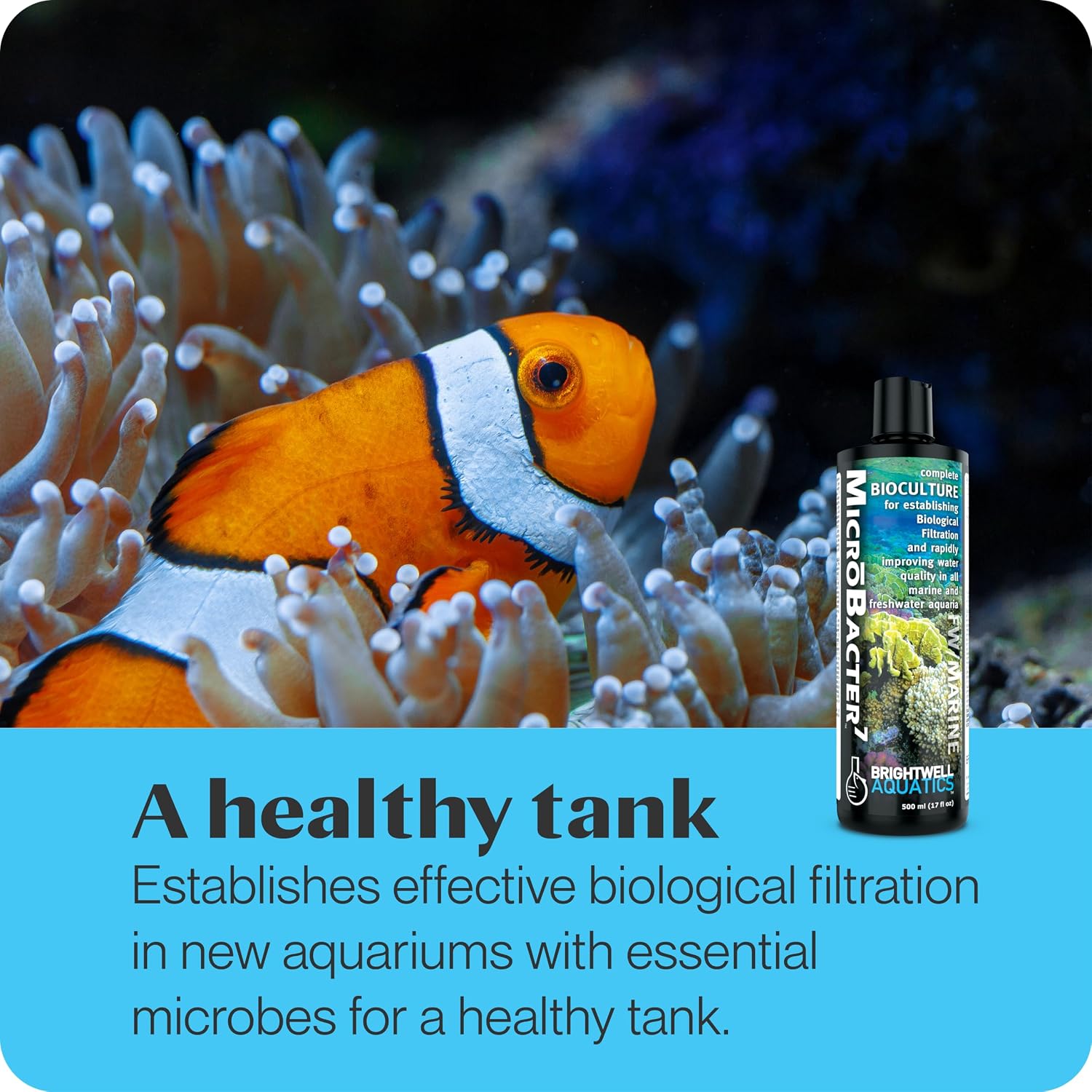 Brightwell Aquatics MicroBacter7 Biological Filter Bioculture Aid, 500 ml