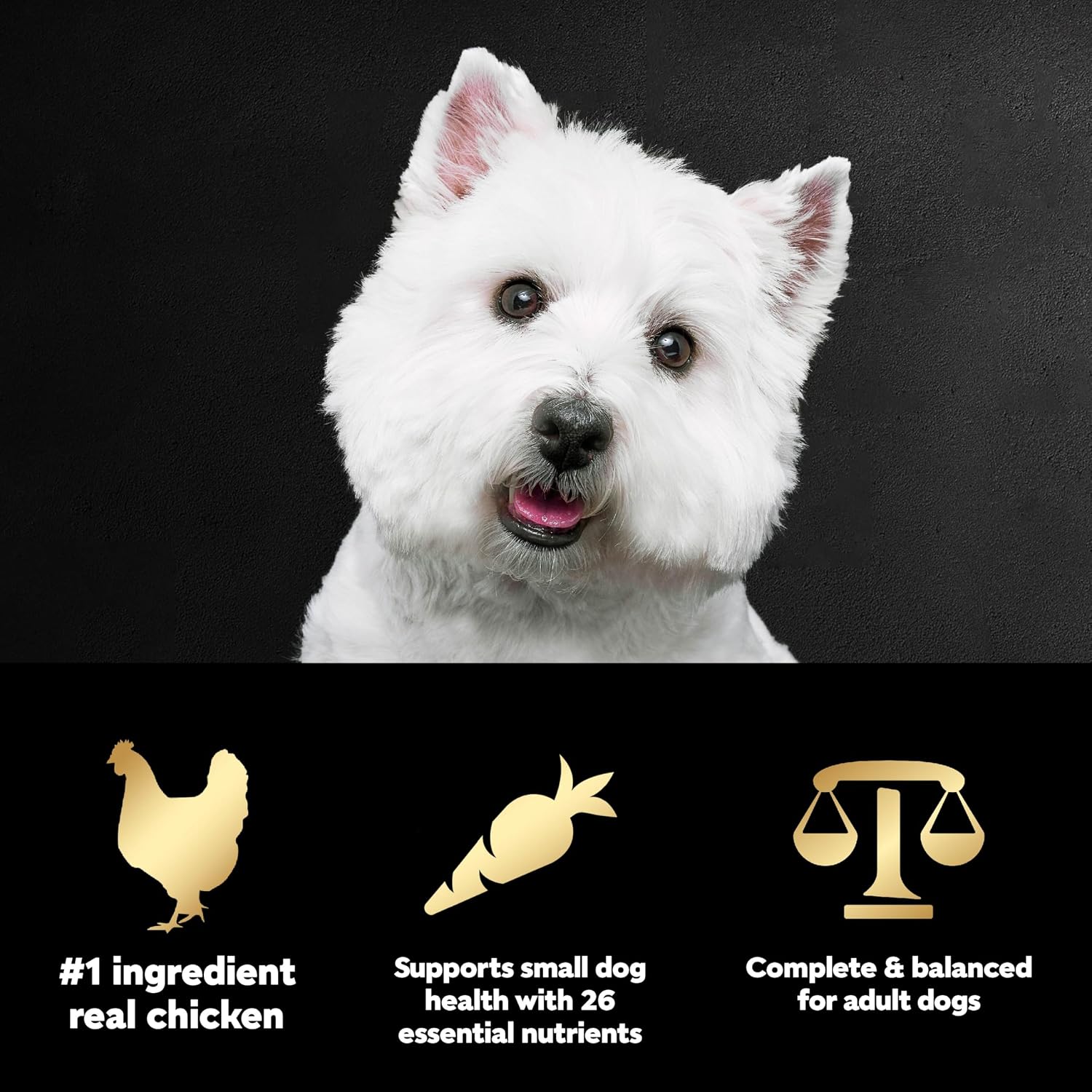 Cesar Small Breed Dry Dog Food, Chicken & Spring Vegetables Flavor, 5 lb | Made in USA, Real chicken #1 ingredient, 26 essential nutrients, supports small breed health, no artificial flavors